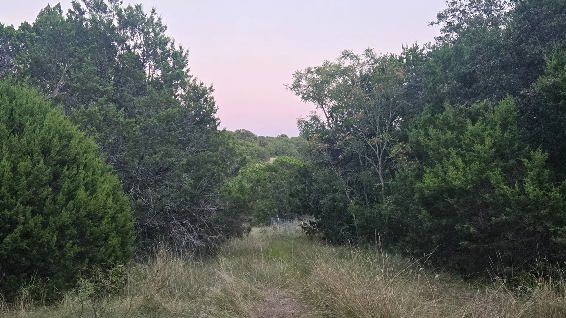Unimproved Land For Sale in Taylor County , TBD Old Coleman, Abilene, Texas 79602, 0, 0, Garage spaces, 0 Sqft, built in 0, Price $2,995,000, mls#21075605, Real Estate Agent in Abilene, Homes For Sale in Taylor county, Homes For Sale in Abilene, Realtor in Abilene Texas, Real Estate Brokerage Independent Realty Texas, Luminita Cordes Realtor