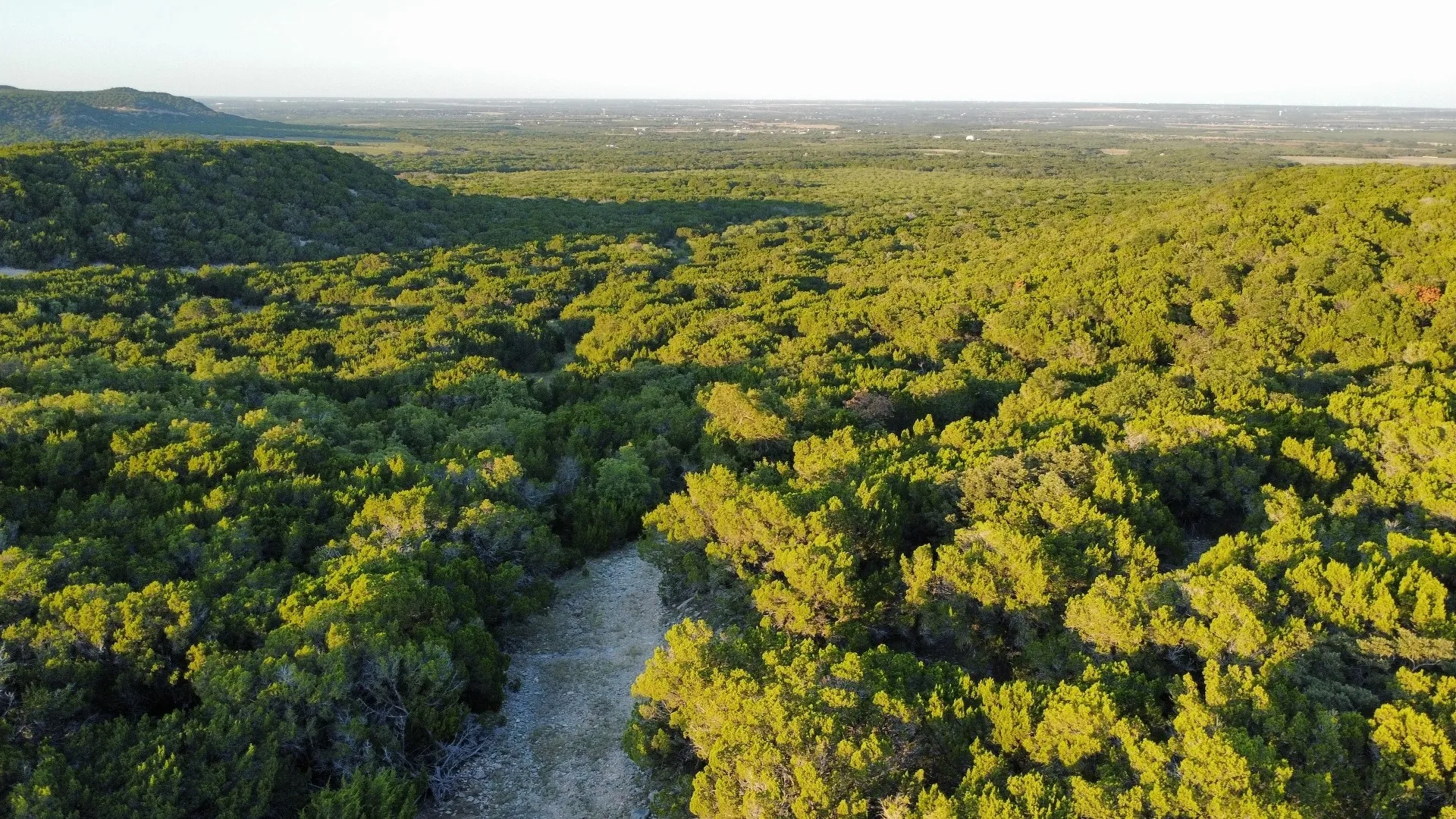 Unimproved Land For Sale in Taylor County , TBD Old Coleman, Abilene, Texas 79602, 0, 0, Garage spaces, 0 Sqft, built in 0, Price $2,995,000, mls#21075605, Real Estate Agent in Abilene, Homes For Sale in Taylor county, Homes For Sale in Abilene, Realtor in Abilene Texas, Real Estate Brokerage Independent Realty Texas, Luminita Cordes Realtor