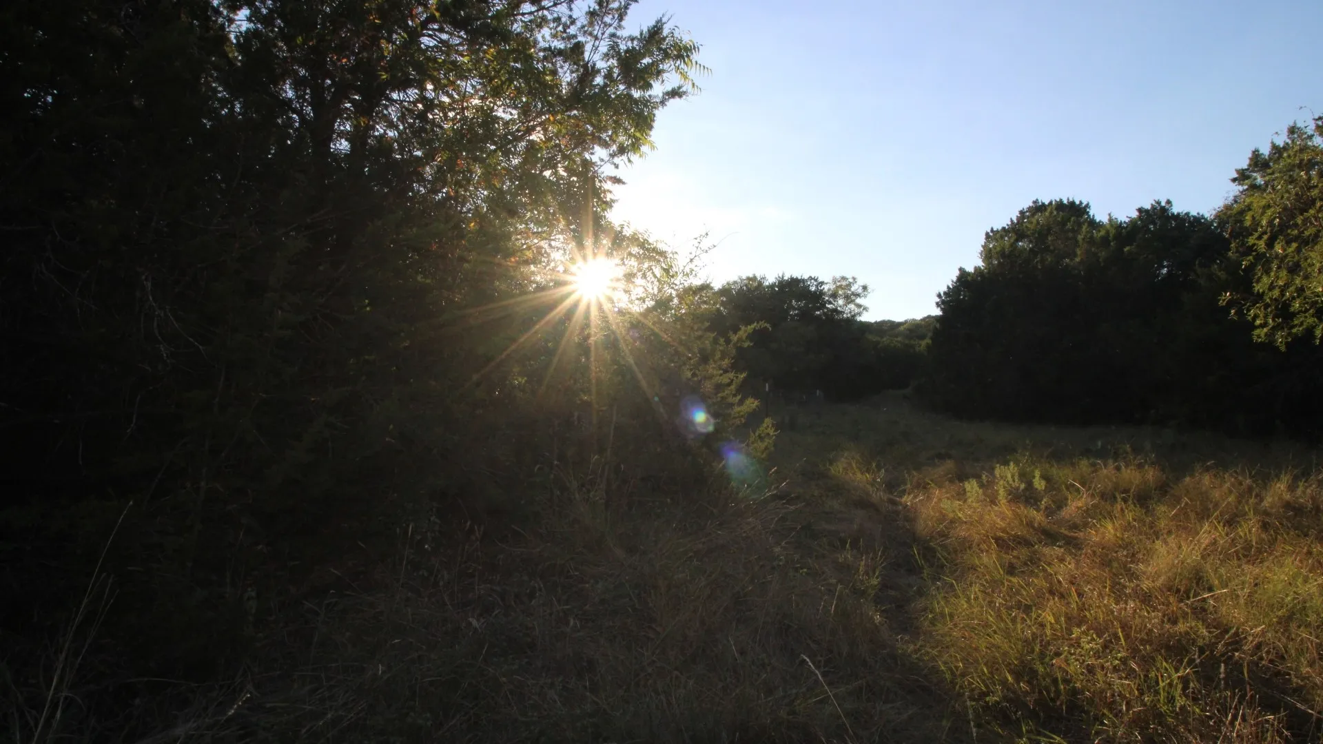 Unimproved Land For Sale in Taylor County , TBD Old Coleman, Abilene, Texas 79602, 0, 0, Garage spaces, 0 Sqft, built in 0, Price $2,995,000, mls#21075605, Real Estate Agent in Abilene, Homes For Sale in Taylor county, Homes For Sale in Abilene, Realtor in Abilene Texas, Real Estate Brokerage Independent Realty Texas, Luminita Cordes Realtor