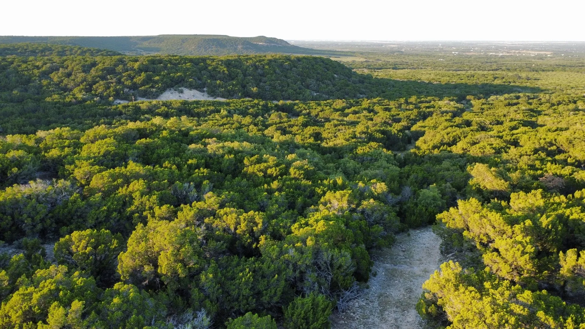 Unimproved Land For Sale in Taylor County , TBD Old Coleman, Abilene, Texas 79602, 0, 0, Garage spaces, 0 Sqft, built in 0, Price $2,995,000, mls#21075605, Real Estate Agent in Abilene, Homes For Sale in Taylor county, Homes For Sale in Abilene, Realtor in Abilene Texas, Real Estate Brokerage Independent Realty Texas, Luminita Cordes Realtor