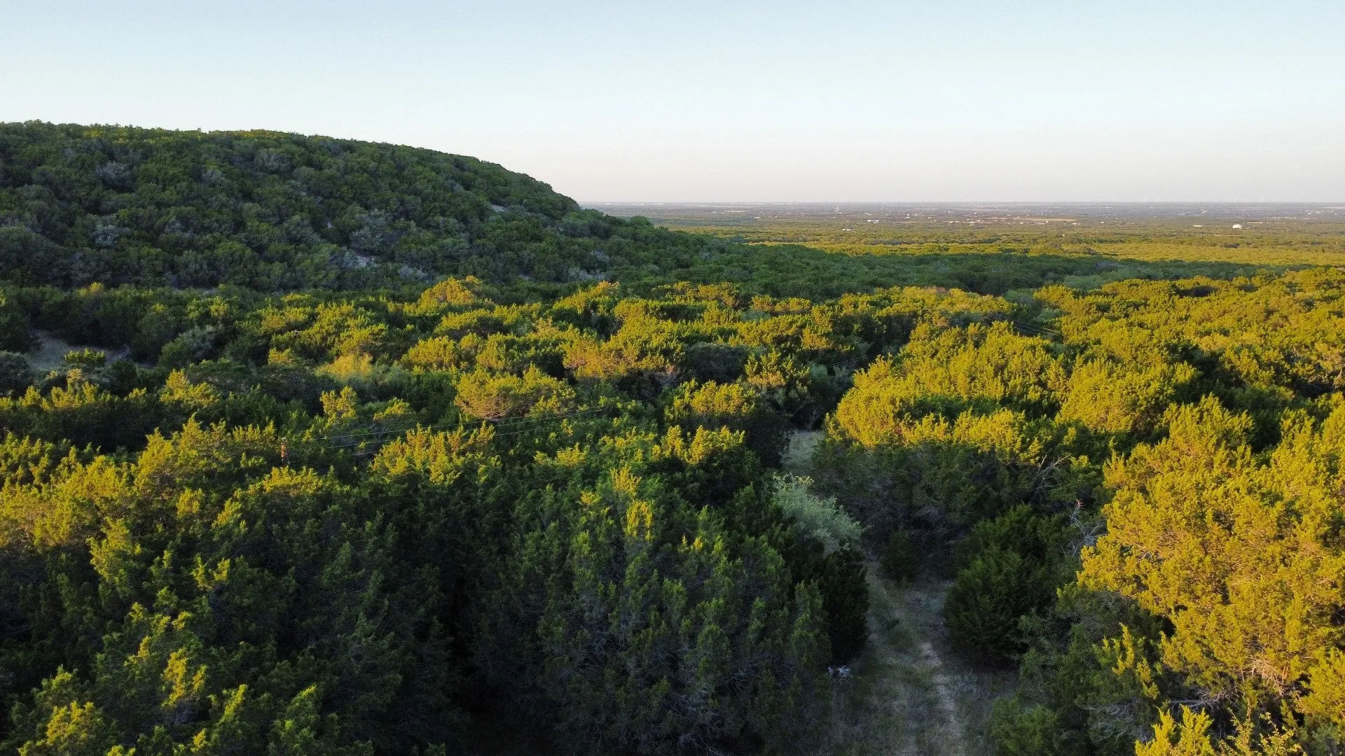 Unimproved Land For Sale in Taylor County , TBD Old Coleman, Abilene, Texas 79602, 0, 0, Garage spaces, 0 Sqft, built in 0, Price $2,995,000, mls#21075605, Real Estate Agent in Abilene, Homes For Sale in Taylor county, Homes For Sale in Abilene, Realtor in Abilene Texas, Real Estate Brokerage Independent Realty Texas, Luminita Cordes Realtor