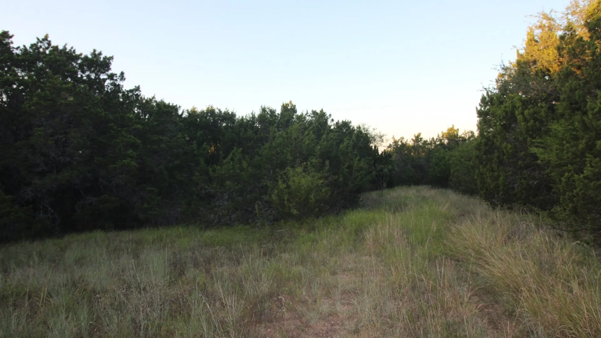 Unimproved Land For Sale in Taylor County , TBD Old Coleman, Abilene, Texas 79602, 0, 0, Garage spaces, 0 Sqft, built in 0, Price $2,995,000, mls#21075605, Real Estate Agent in Abilene, Homes For Sale in Taylor county, Homes For Sale in Abilene, Realtor in Abilene Texas, Real Estate Brokerage Independent Realty Texas, Luminita Cordes Realtor