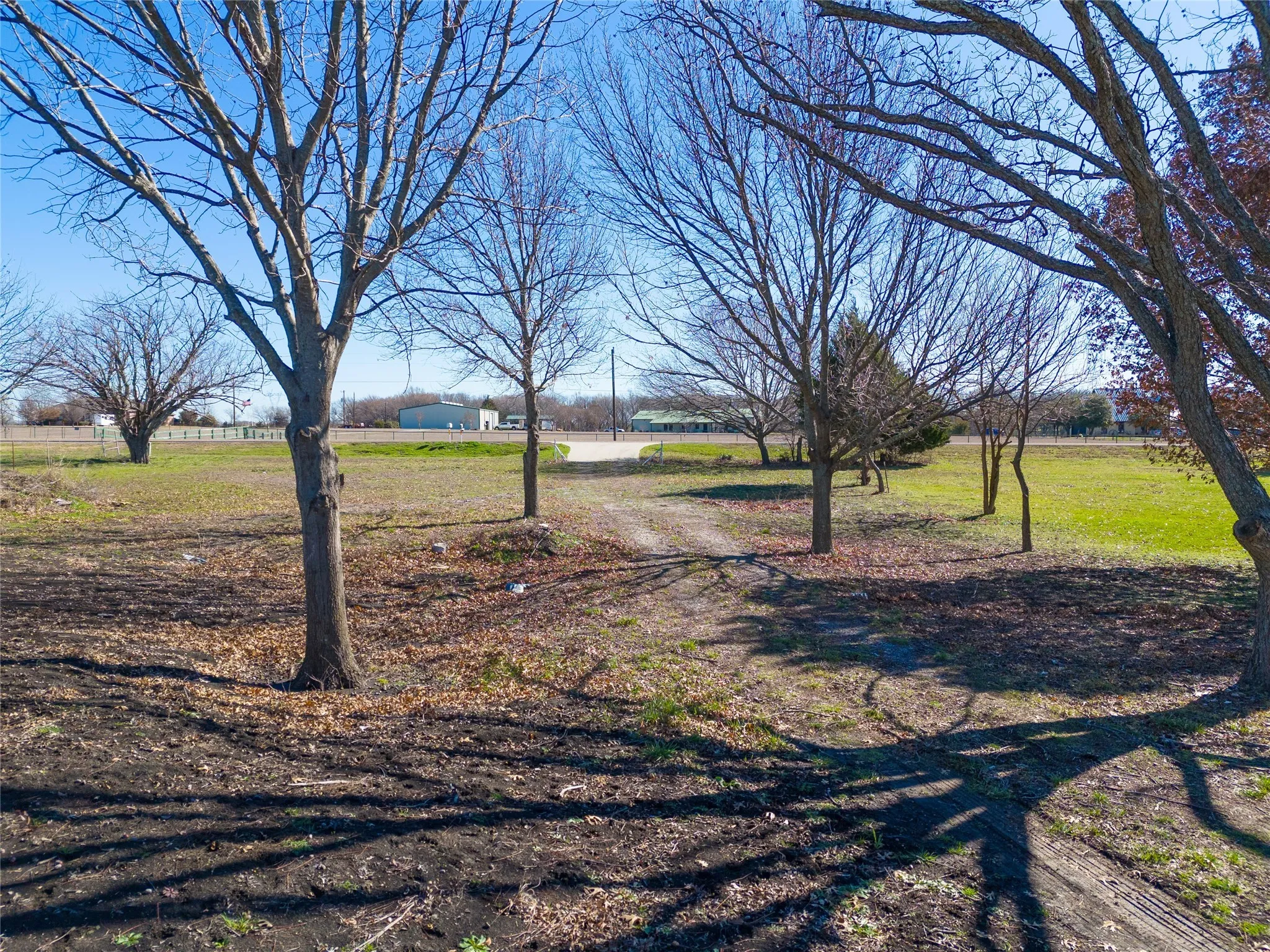 View of green lawn