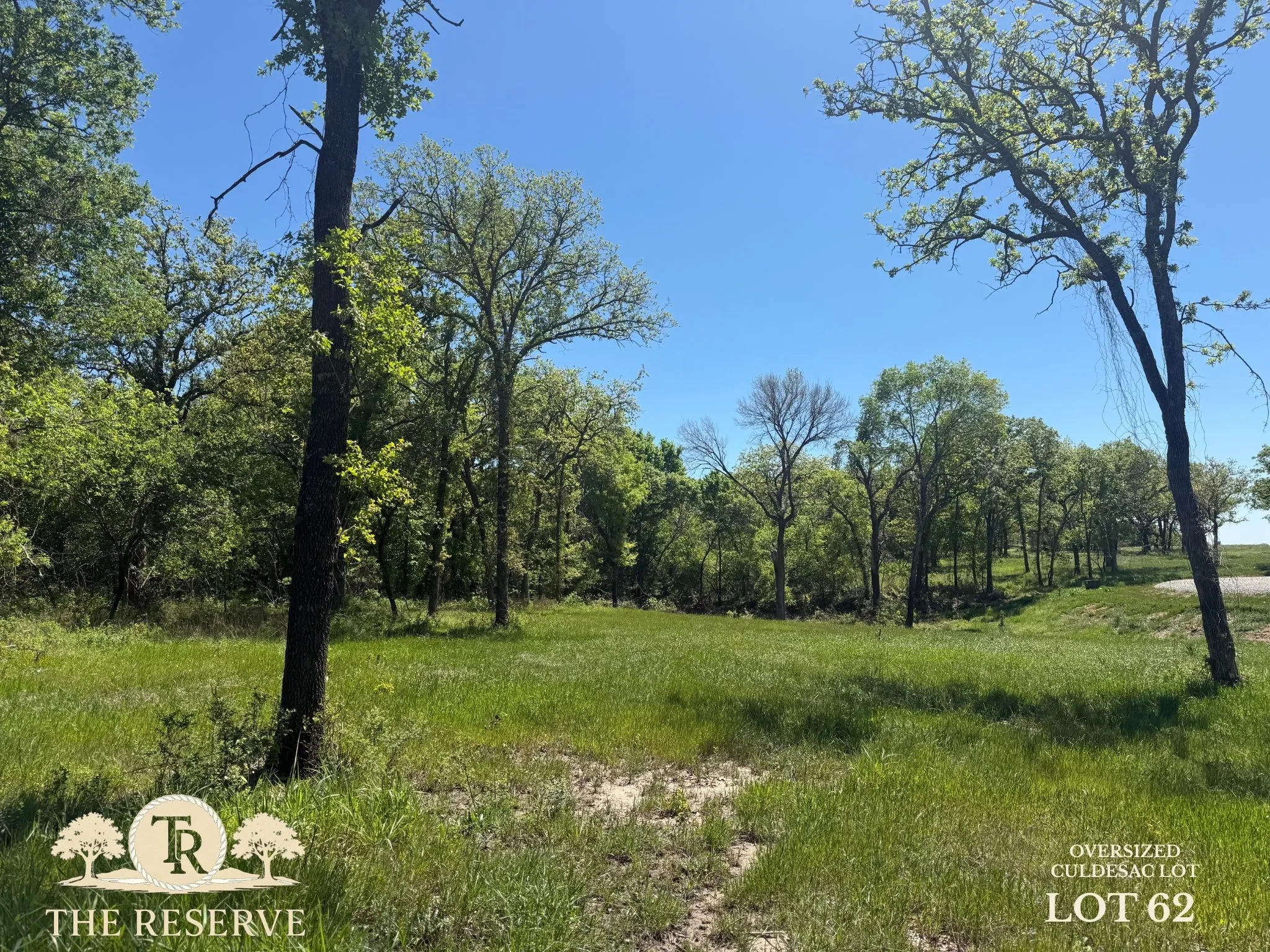 Unimproved Land For Sale in Parker County , Lot 62 & 63 Camden Lane, Springtown, Texas 76082, 0, 0, Garage spaces, 0 Sqft, built in 0, Price $175,000, mls#21075688, Real Estate Agent in Springtown, Homes For Sale in Parker county, Homes For Sale in Springtown, Realtor in Springtown Texas, Real Estate Brokerage Independent Realty Texas, Luminita Cordes Realtor