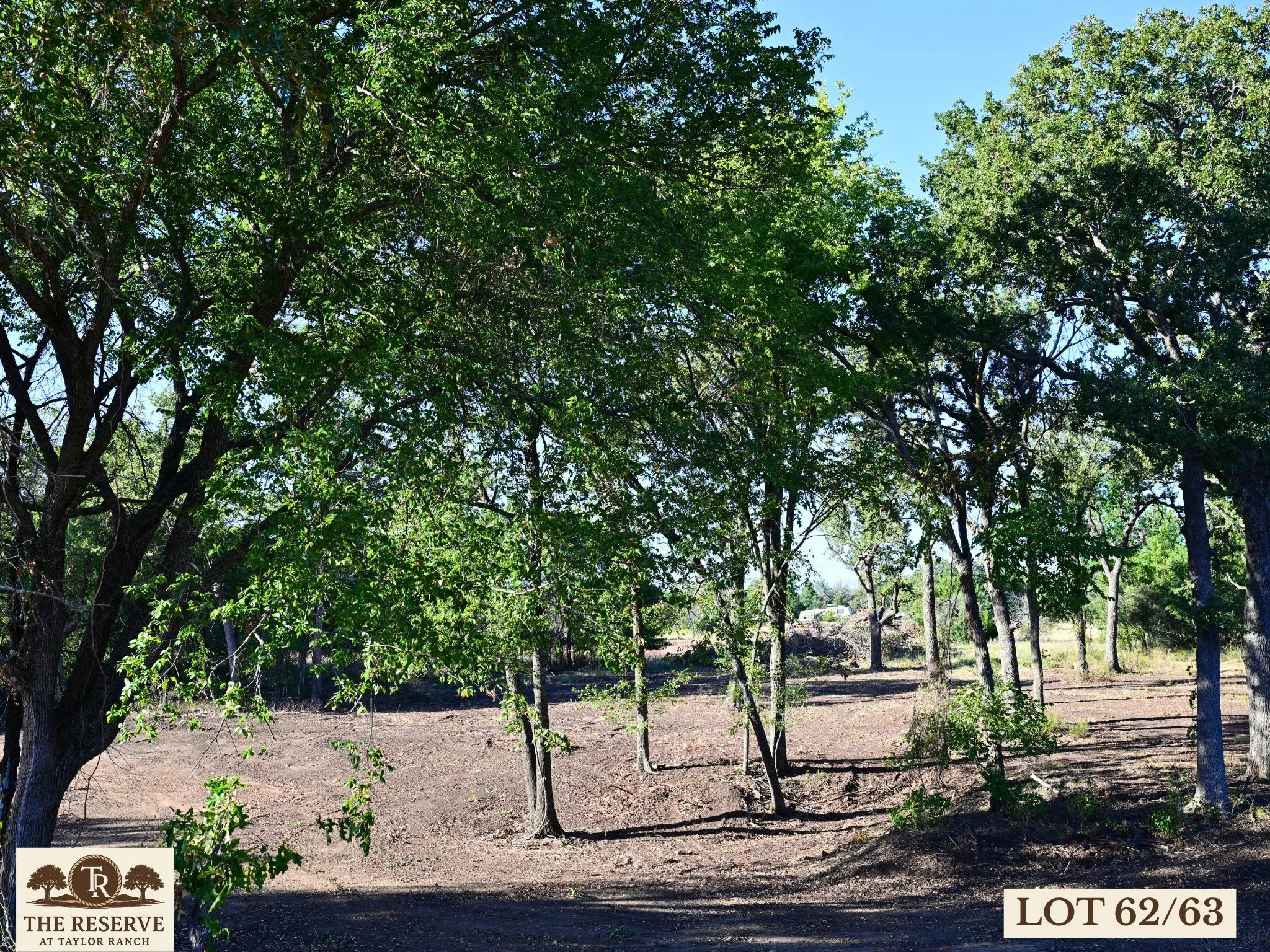 Unimproved Land For Sale in Parker County , Lot 62 & 63 Camden Lane, Springtown, Texas 76082, 0, 0, Garage spaces, 0 Sqft, built in 0, Price $175,000, mls#21075688, Real Estate Agent in Springtown, Homes For Sale in Parker county, Homes For Sale in Springtown, Realtor in Springtown Texas, Real Estate Brokerage Independent Realty Texas, Luminita Cordes Realtor