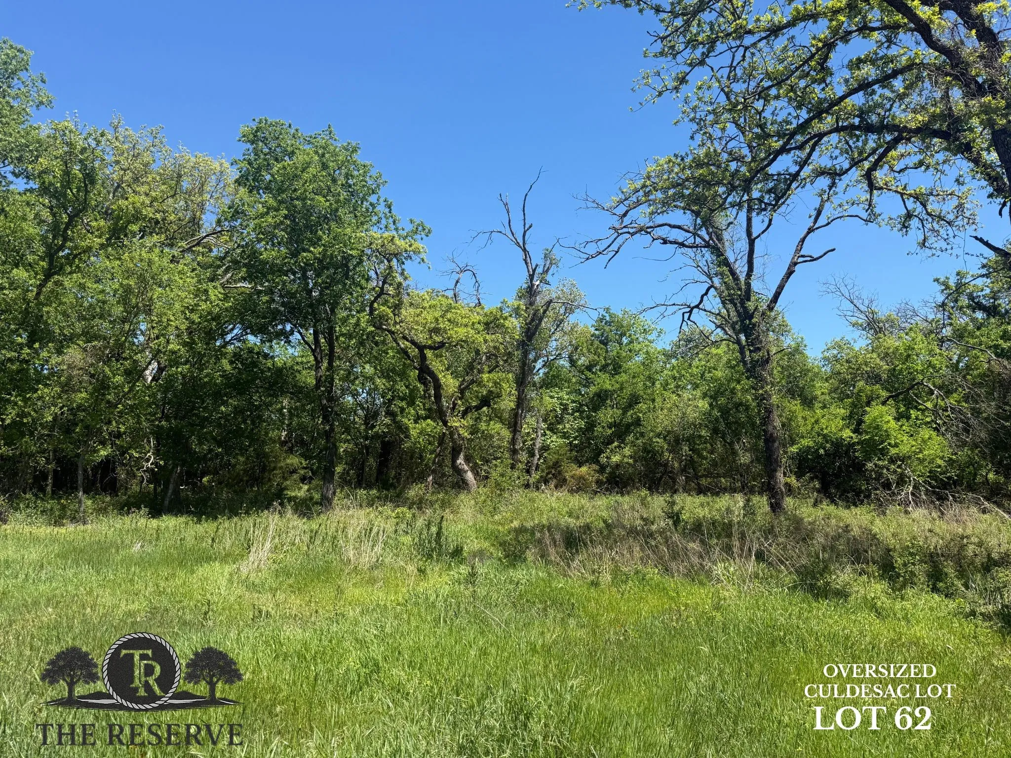 Unimproved Land For Sale in Parker County , Lot 62 & 63 Camden Lane, Springtown, Texas 76082, 0, 0, Garage spaces, 0 Sqft, built in 0, Price $175,000, mls#21075688, Real Estate Agent in Springtown, Homes For Sale in Parker county, Homes For Sale in Springtown, Realtor in Springtown Texas, Real Estate Brokerage Independent Realty Texas, Luminita Cordes Realtor