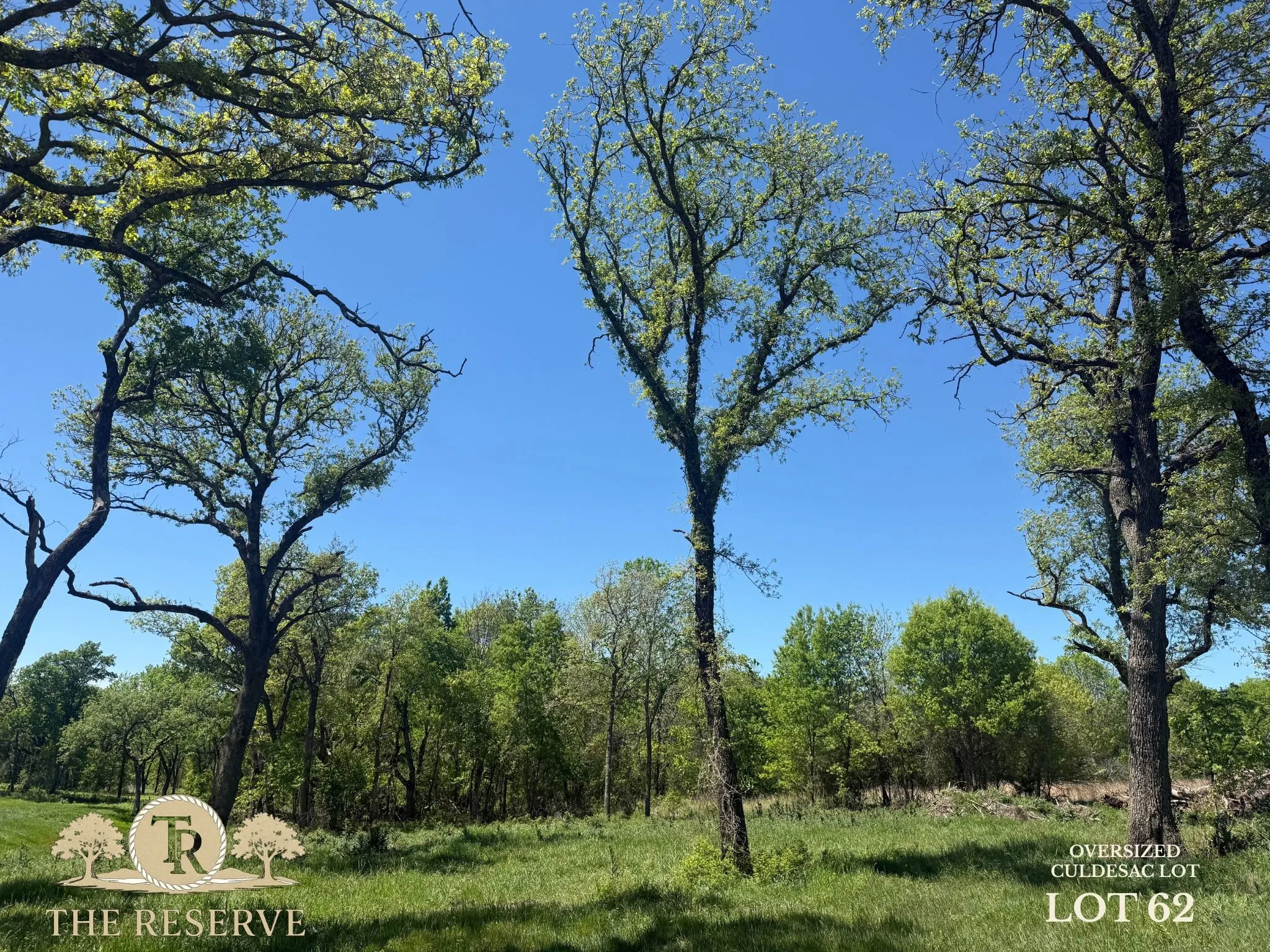Unimproved Land For Sale in Parker County , Lot 62 & 63 Camden Lane, Springtown, Texas 76082, 0, 0, Garage spaces, 0 Sqft, built in 0, Price $175,000, mls#21075688, Real Estate Agent in Springtown, Homes For Sale in Parker county, Homes For Sale in Springtown, Realtor in Springtown Texas, Real Estate Brokerage Independent Realty Texas, Luminita Cordes Realtor