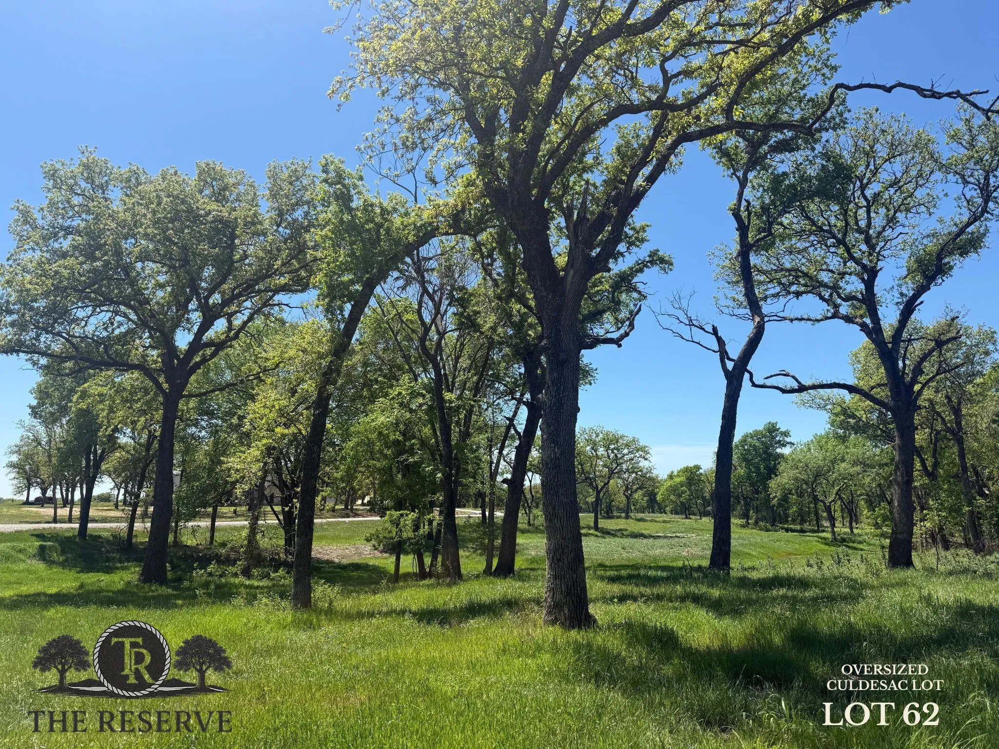 Unimproved Land For Sale in Parker County , Lot 62 & 63 Camden Lane, Springtown, Texas 76082, 0, 0, Garage spaces, 0 Sqft, built in 0, Price $175,000, mls#21075688, Real Estate Agent in Springtown, Homes For Sale in Parker county, Homes For Sale in Springtown, Realtor in Springtown Texas, Real Estate Brokerage Independent Realty Texas, Luminita Cordes Realtor