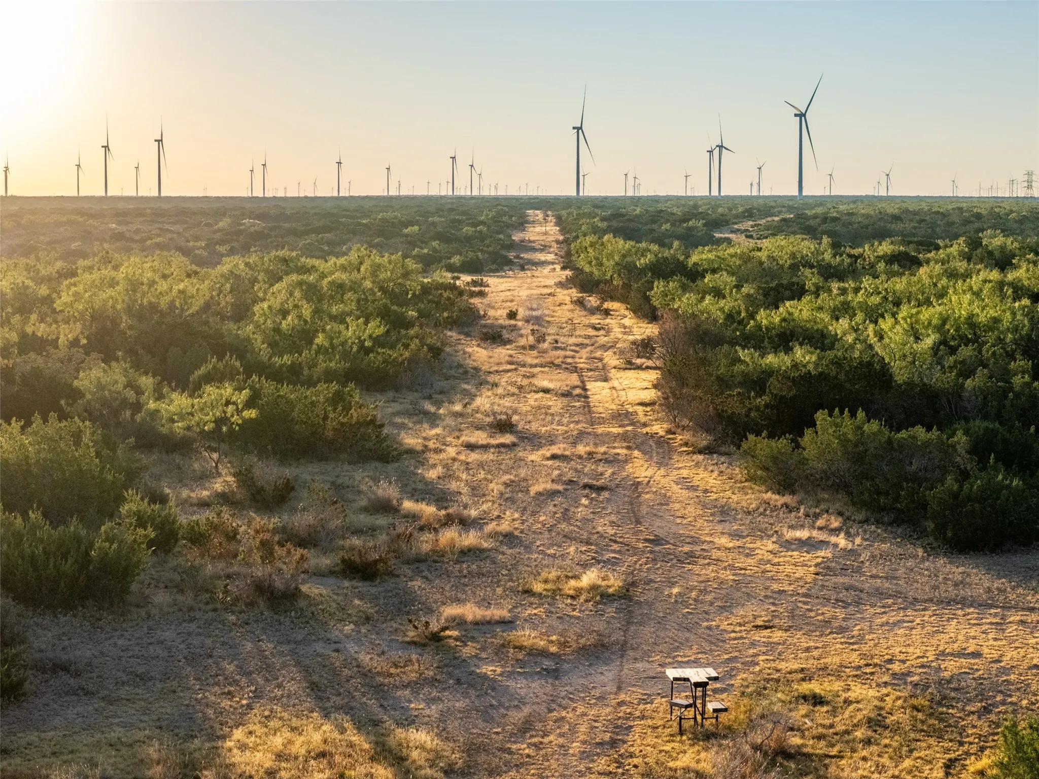 Ranch For Sale in Coke County , TBD Walnut Road, Robert Lee, Texas 76945, 0, 0, Garage spaces, 0 Sqft, built in 0, mls#21075737, Real Estate Agent in Robert Lee, Homes For Sale in Coke county, Homes For Sale in Robert Lee, Realtor in Robert Lee Texas, Real Estate Brokerage Independent Realty Texas, Luminita Cordes Realtor