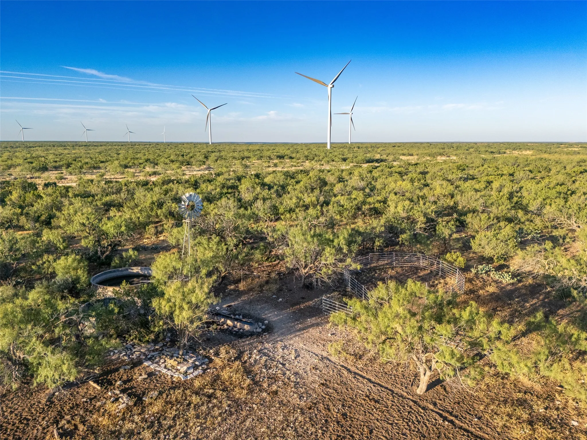 Drone / aerial view of a forest