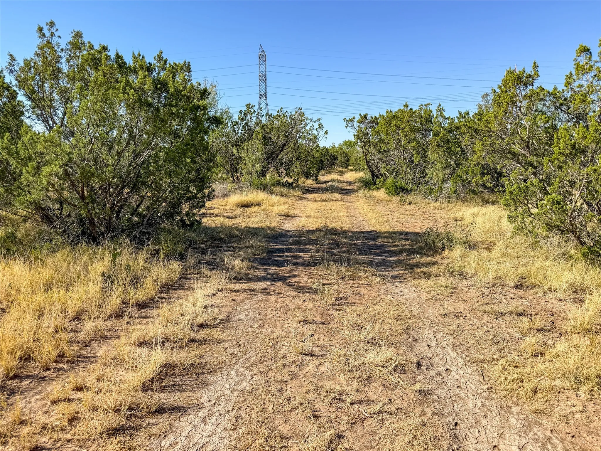 View of dirt / gravel road