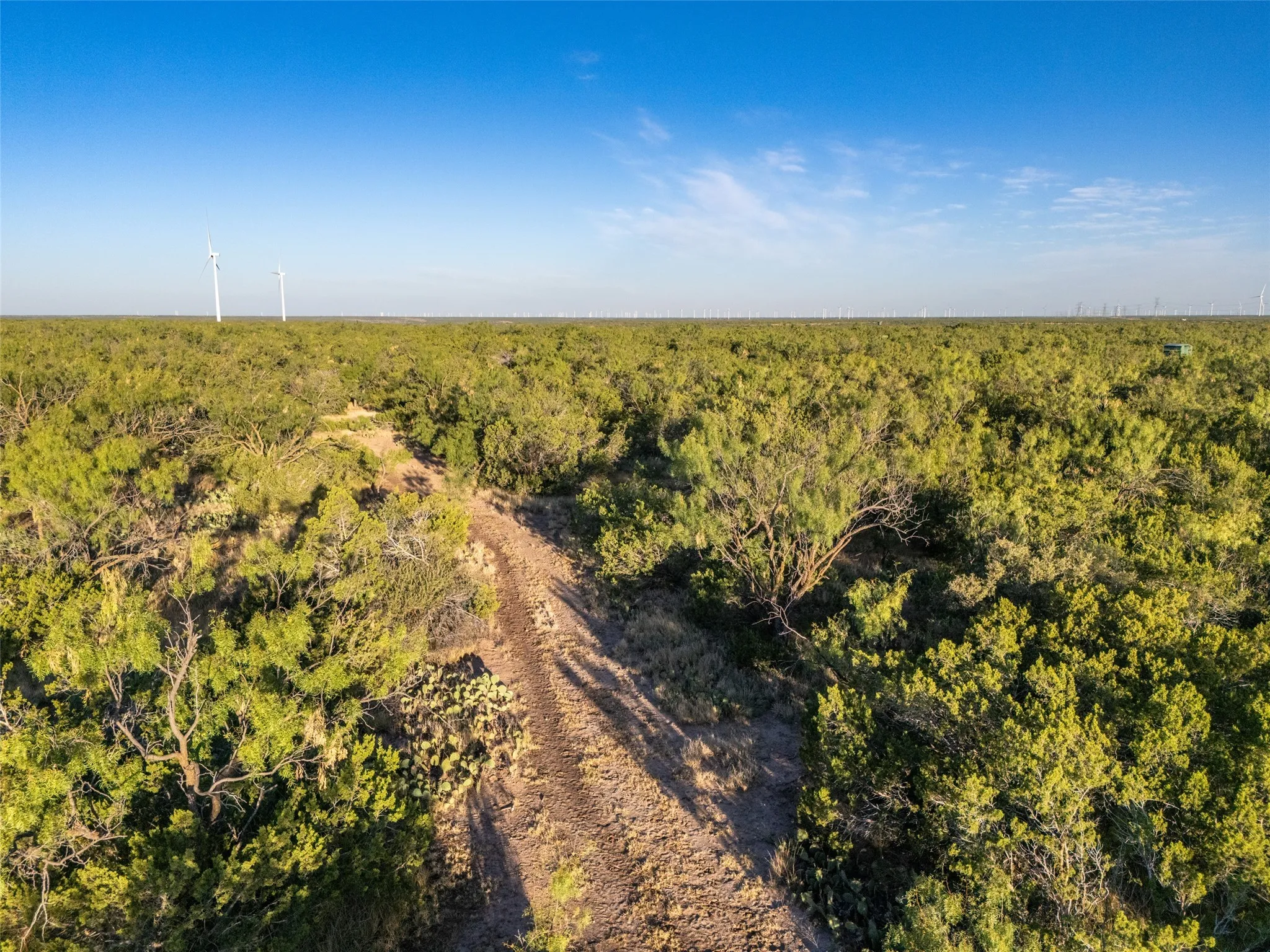 Drone / aerial view of a heavily wooded area