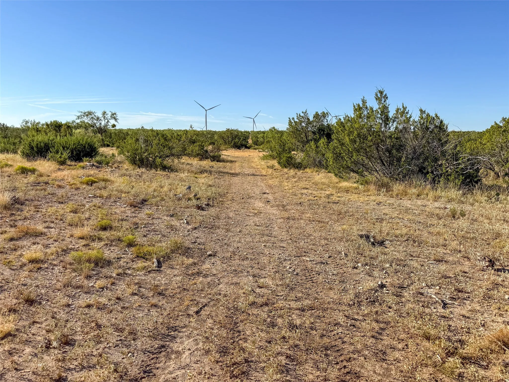 View of local wilderness featuring rural landscape