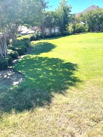 Unimproved Land For Sale in Tarrant County , 3101 Oak Bourne Drive, Arlington, Texas 76016, 0, 0, Garage spaces, 0 Sqft, built in 0, mls#21075648, Real Estate Agent in Arlington, Homes For Sale in Tarrant county, Homes For Sale in Arlington, Realtor in Arlington Texas, Real Estate Brokerage Independent Realty Texas, Luminita Cordes Realtor