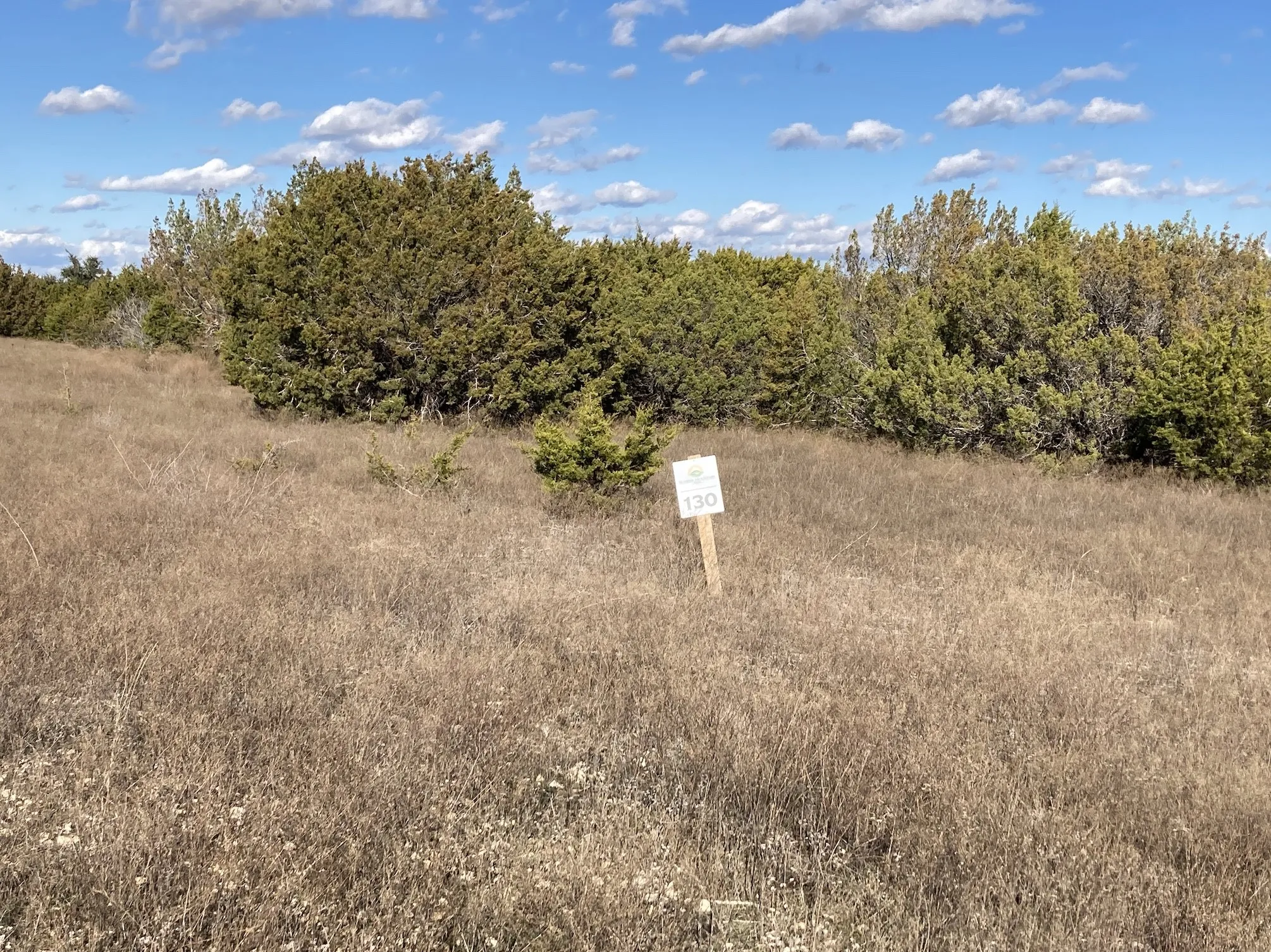 Unimproved Land For Sale in Erath County , TBD LOT #130 Outpost Drive, Stephenville, Texas 76401, 0, 0, Garage spaces, 0 Sqft, built in 0, Price $115,000, mls#21075790, Real Estate Agent in Stephenville, Homes For Sale in Erath county, Homes For Sale in Stephenville, Realtor in Stephenville Texas, Real Estate Brokerage Independent Realty Texas, Luminita Cordes Realtor