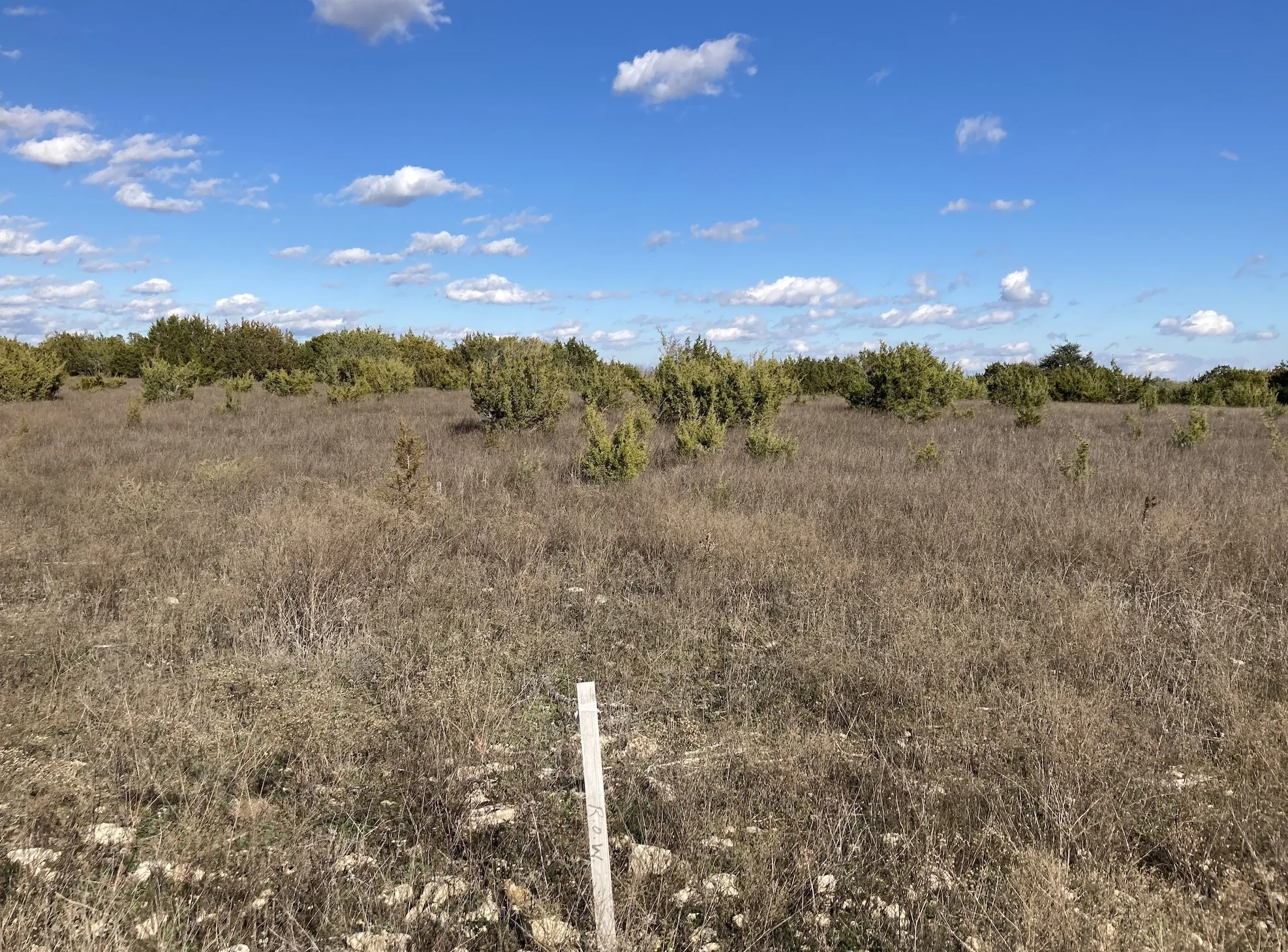 Unimproved Land For Sale in Erath County , TBD LOT #131 Outpost Drive, Stephenville, Texas 76401, 0, 0, Garage spaces, 0 Sqft, built in 0, Price $115,000, mls#21075788, Real Estate Agent in Stephenville, Homes For Sale in Erath county, Homes For Sale in Stephenville, Realtor in Stephenville Texas, Real Estate Brokerage Independent Realty Texas, Luminita Cordes Realtor
