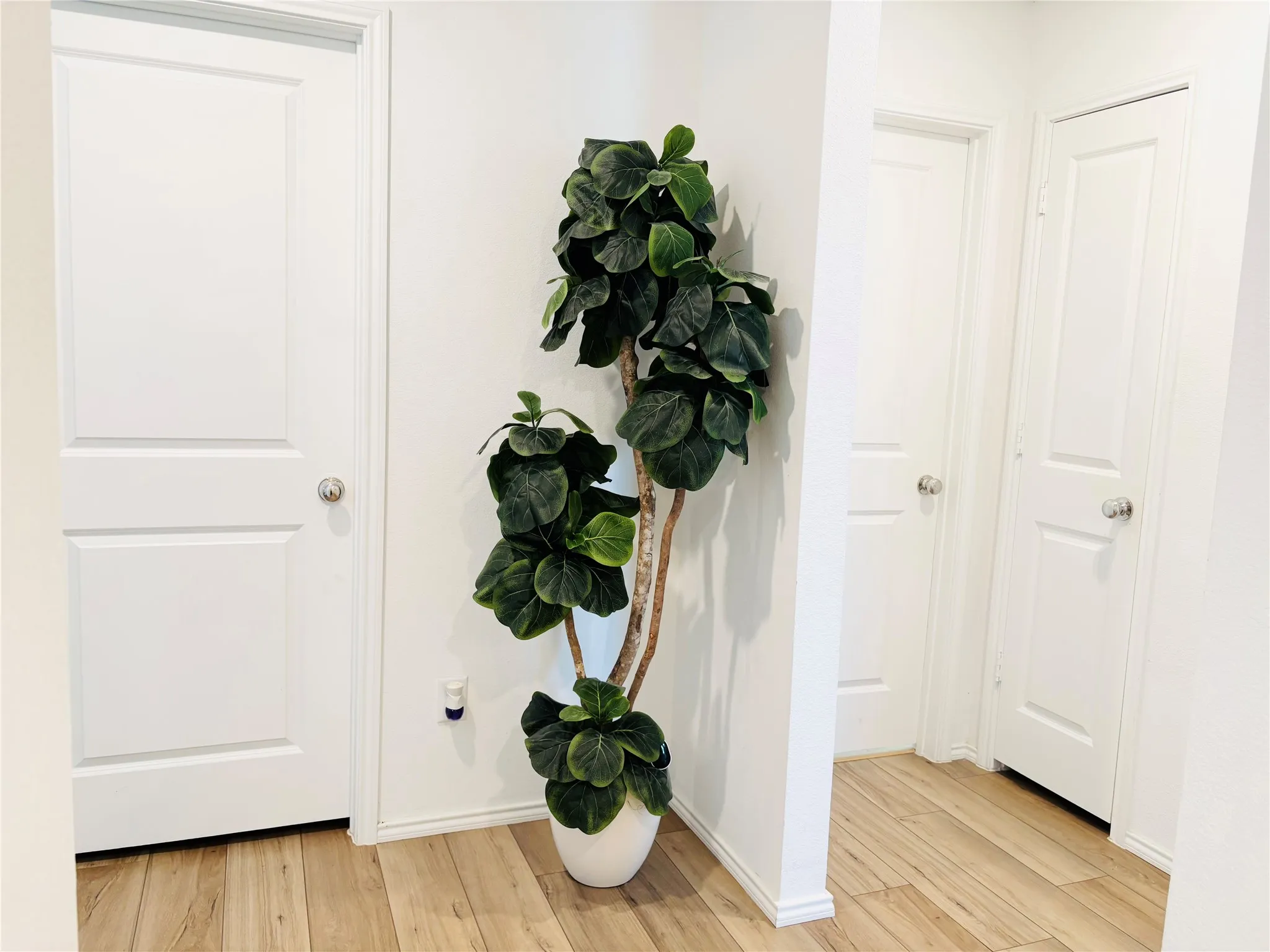 Corridor with light wood-type flooring and baseboards