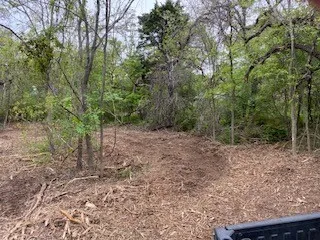 View of cleared area on land