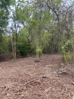 View of woods