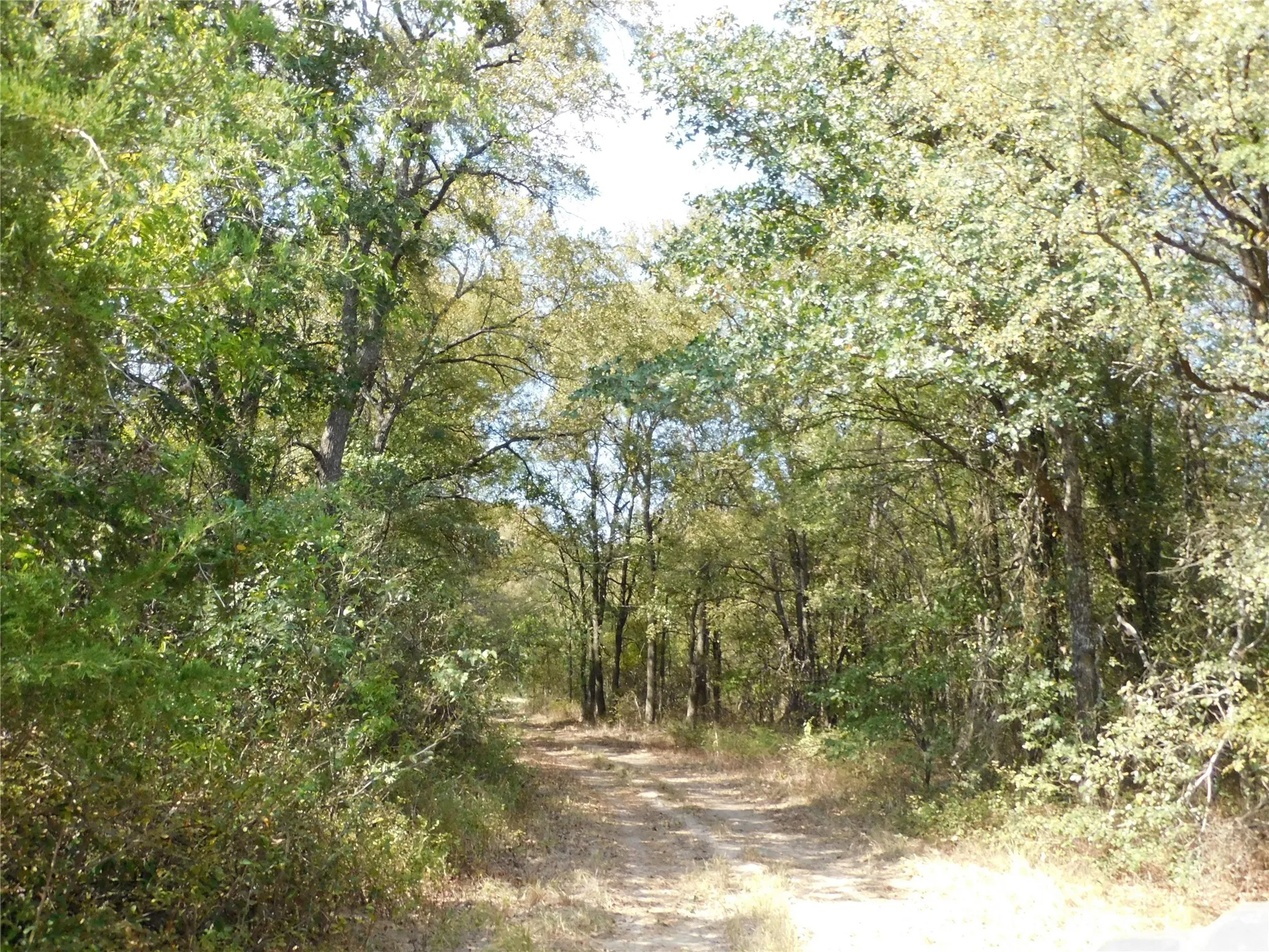 Unimproved Land For Sale in Hill County , 451 HCR3335 Road, Hubbard, Texas 76648, 0, 0, Garage spaces, 0 Sqft, built in 0, mls#21076870, Real Estate Agent in Hubbard, Homes For Sale in Hill county, Homes For Sale in Hubbard, Realtor in Hubbard Texas, Real Estate Brokerage Independent Realty Texas, Luminita Cordes Realtor