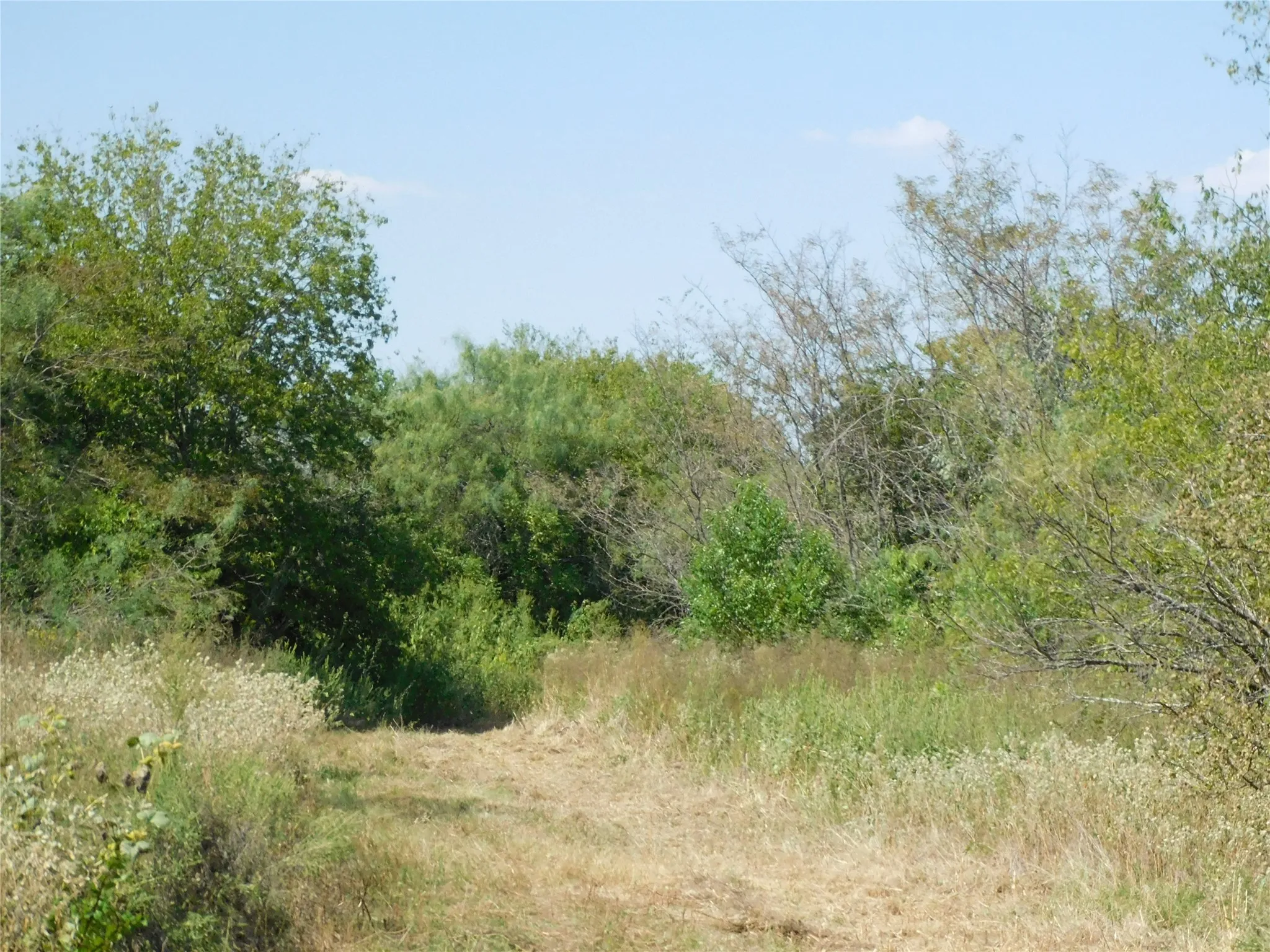 Unimproved Land For Sale in Hill County , 451 HCR3335 Road, Hubbard, Texas 76648, 0, 0, Garage spaces, 0 Sqft, built in 0, mls#21076870, Real Estate Agent in Hubbard, Homes For Sale in Hill county, Homes For Sale in Hubbard, Realtor in Hubbard Texas, Real Estate Brokerage Independent Realty Texas, Luminita Cordes Realtor