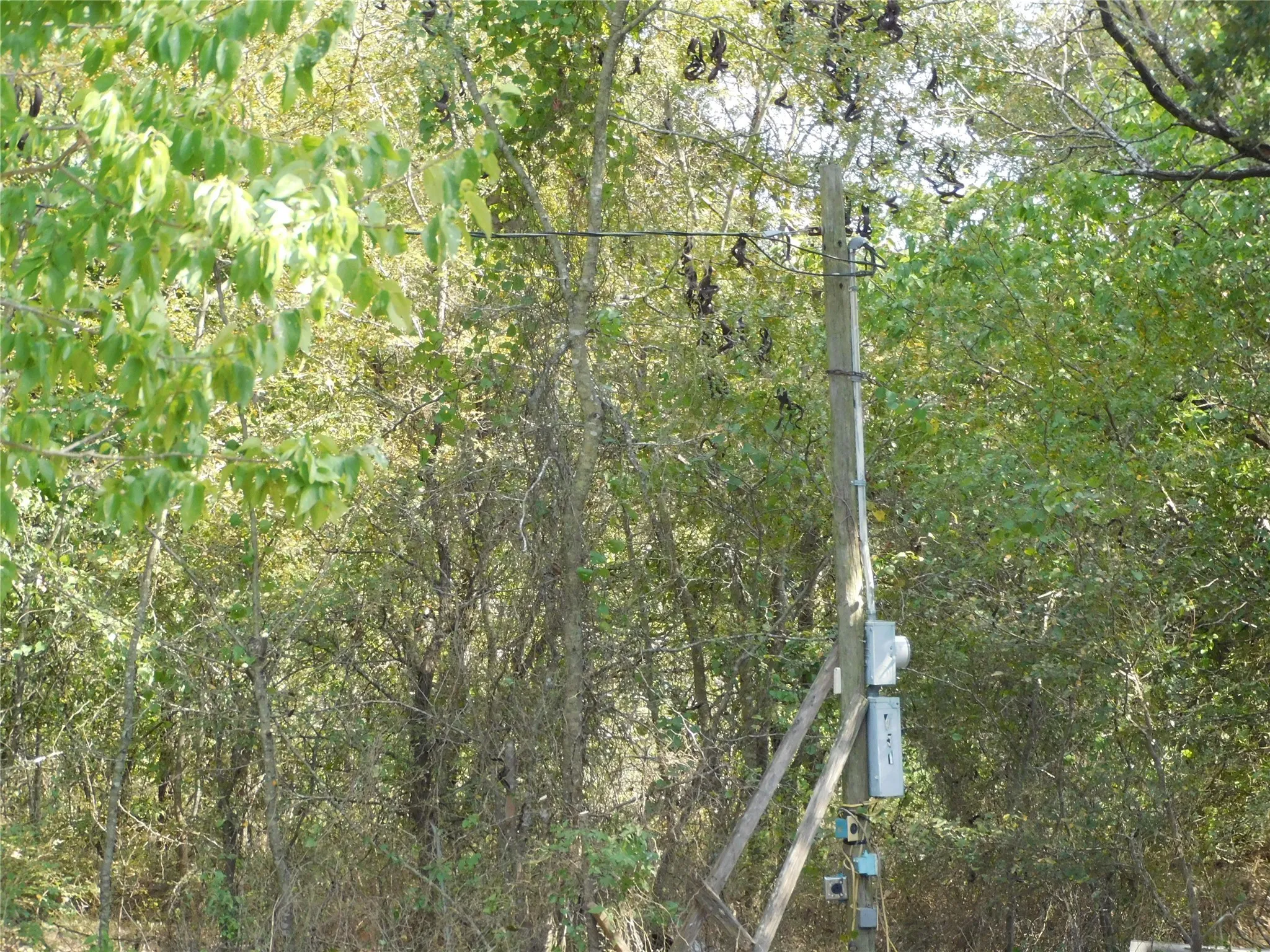 Unimproved Land For Sale in Hill County , 451 HCR3335 Road, Hubbard, Texas 76648, 0, 0, Garage spaces, 0 Sqft, built in 0, mls#21076870, Real Estate Agent in Hubbard, Homes For Sale in Hill county, Homes For Sale in Hubbard, Realtor in Hubbard Texas, Real Estate Brokerage Independent Realty Texas, Luminita Cordes Realtor