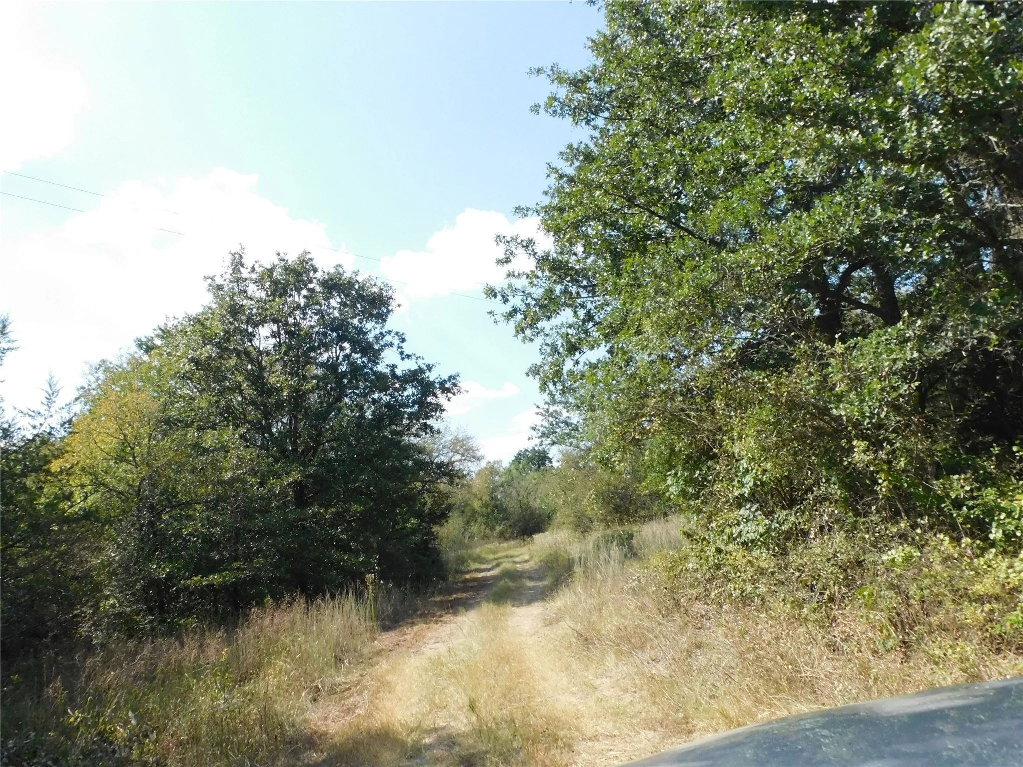 Unimproved Land For Sale in Hill County , 451 HCR3335 Road, Hubbard, Texas 76648, 0, 0, Garage spaces, 0 Sqft, built in 0, mls#21076870, Real Estate Agent in Hubbard, Homes For Sale in Hill county, Homes For Sale in Hubbard, Realtor in Hubbard Texas, Real Estate Brokerage Independent Realty Texas, Luminita Cordes Realtor