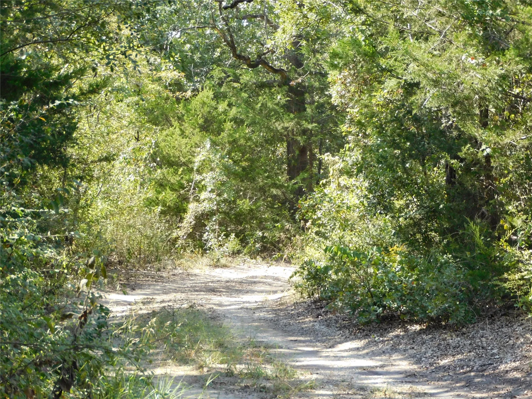 Unimproved Land For Sale in Hill County , 451 HCR3335 Road, Hubbard, Texas 76648, 0, 0, Garage spaces, 0 Sqft, built in 0, mls#21076870, Real Estate Agent in Hubbard, Homes For Sale in Hill county, Homes For Sale in Hubbard, Realtor in Hubbard Texas, Real Estate Brokerage Independent Realty Texas, Luminita Cordes Realtor