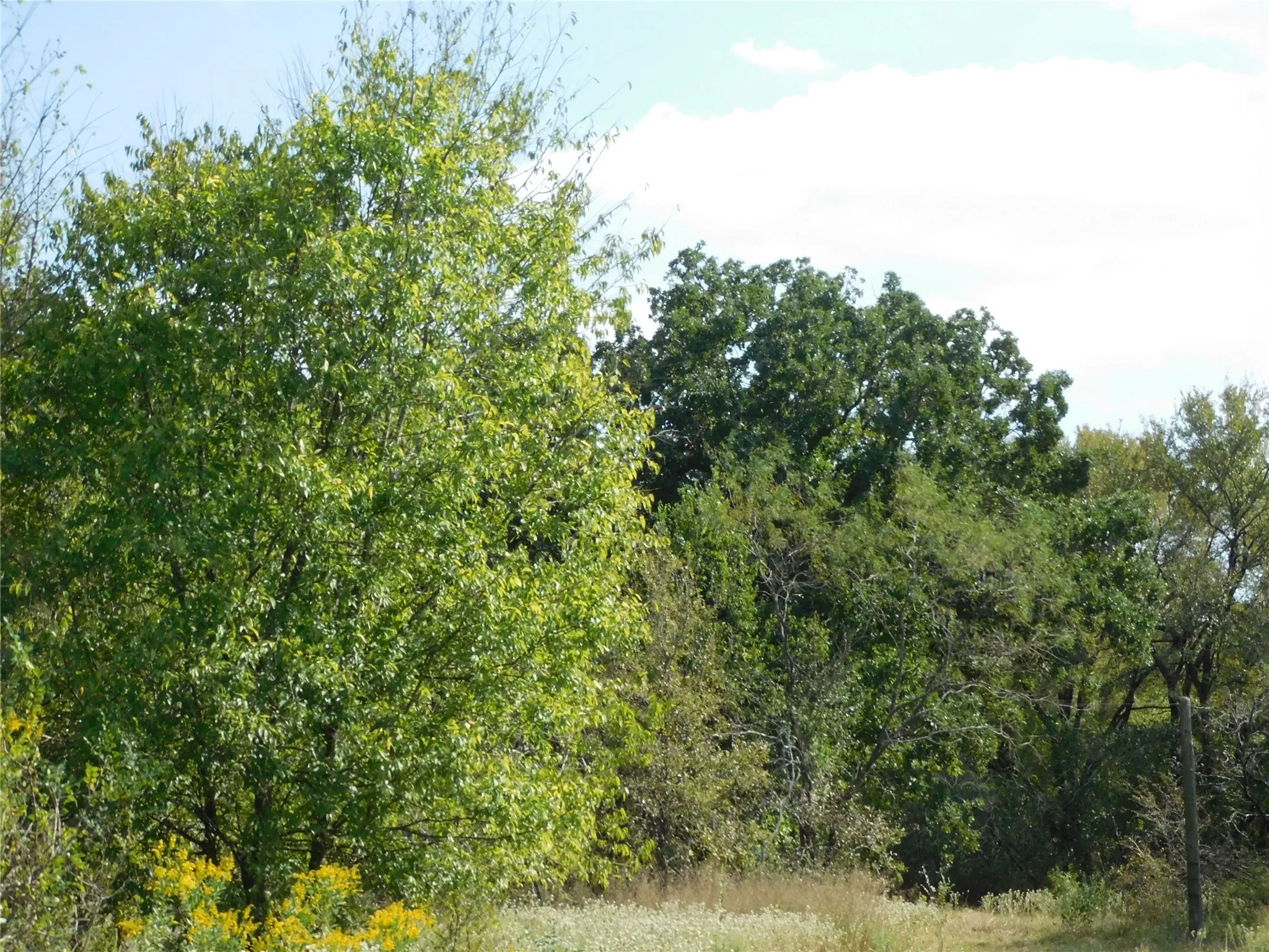 Unimproved Land For Sale in Hill County , 451 HCR3335 Road, Hubbard, Texas 76648, 0, 0, Garage spaces, 0 Sqft, built in 0, mls#21076870, Real Estate Agent in Hubbard, Homes For Sale in Hill county, Homes For Sale in Hubbard, Realtor in Hubbard Texas, Real Estate Brokerage Independent Realty Texas, Luminita Cordes Realtor
