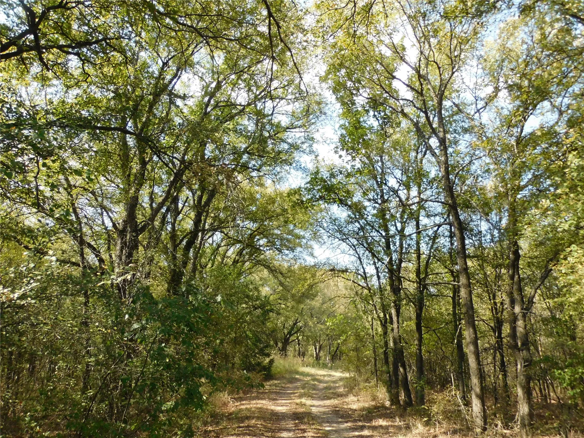 Unimproved Land For Sale in Hill County , 451 HCR3335 Road, Hubbard, Texas 76648, 0, 0, Garage spaces, 0 Sqft, built in 0, mls#21076870, Real Estate Agent in Hubbard, Homes For Sale in Hill county, Homes For Sale in Hubbard, Realtor in Hubbard Texas, Real Estate Brokerage Independent Realty Texas, Luminita Cordes Realtor