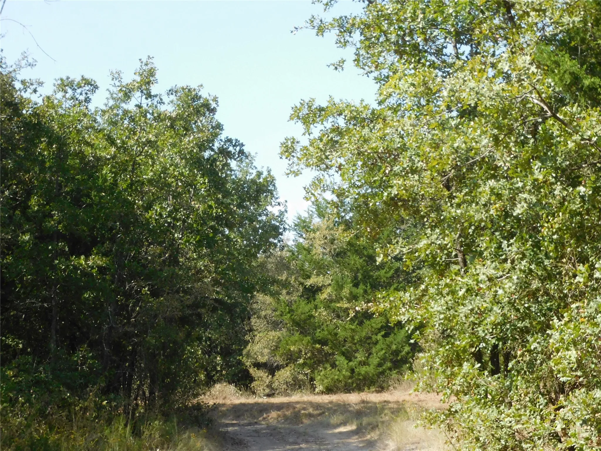 Unimproved Land For Sale in Hill County , 451 HCR3335 Road, Hubbard, Texas 76648, 0, 0, Garage spaces, 0 Sqft, built in 0, mls#21076870, Real Estate Agent in Hubbard, Homes For Sale in Hill county, Homes For Sale in Hubbard, Realtor in Hubbard Texas, Real Estate Brokerage Independent Realty Texas, Luminita Cordes Realtor