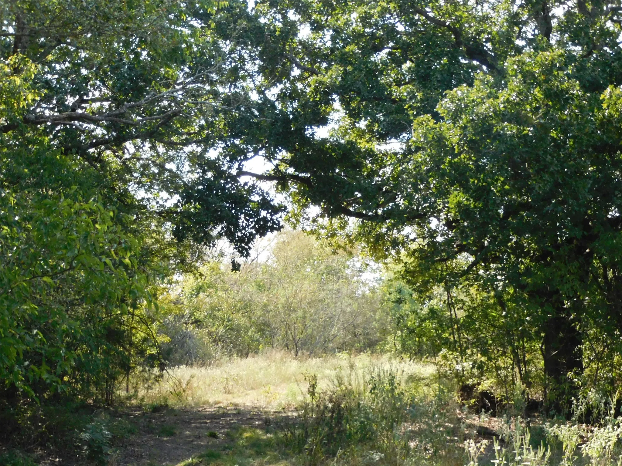 Unimproved Land For Sale in Hill County , 451 HCR3335 Road, Hubbard, Texas 76648, 0, 0, Garage spaces, 0 Sqft, built in 0, mls#21076870, Real Estate Agent in Hubbard, Homes For Sale in Hill county, Homes For Sale in Hubbard, Realtor in Hubbard Texas, Real Estate Brokerage Independent Realty Texas, Luminita Cordes Realtor