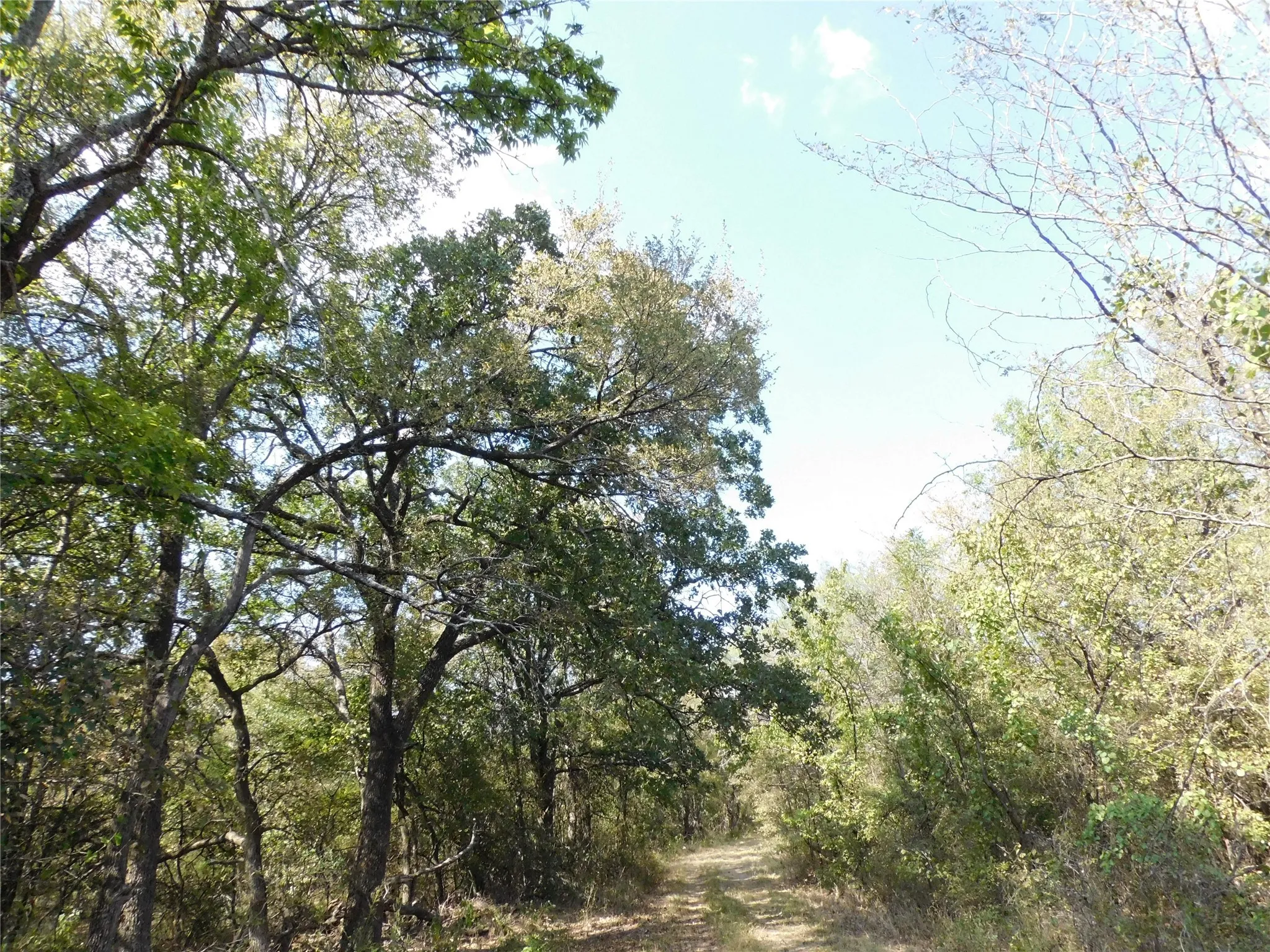Unimproved Land For Sale in Hill County , 451 HCR3335 Road, Hubbard, Texas 76648, 0, 0, Garage spaces, 0 Sqft, built in 0, mls#21076870, Real Estate Agent in Hubbard, Homes For Sale in Hill county, Homes For Sale in Hubbard, Realtor in Hubbard Texas, Real Estate Brokerage Independent Realty Texas, Luminita Cordes Realtor