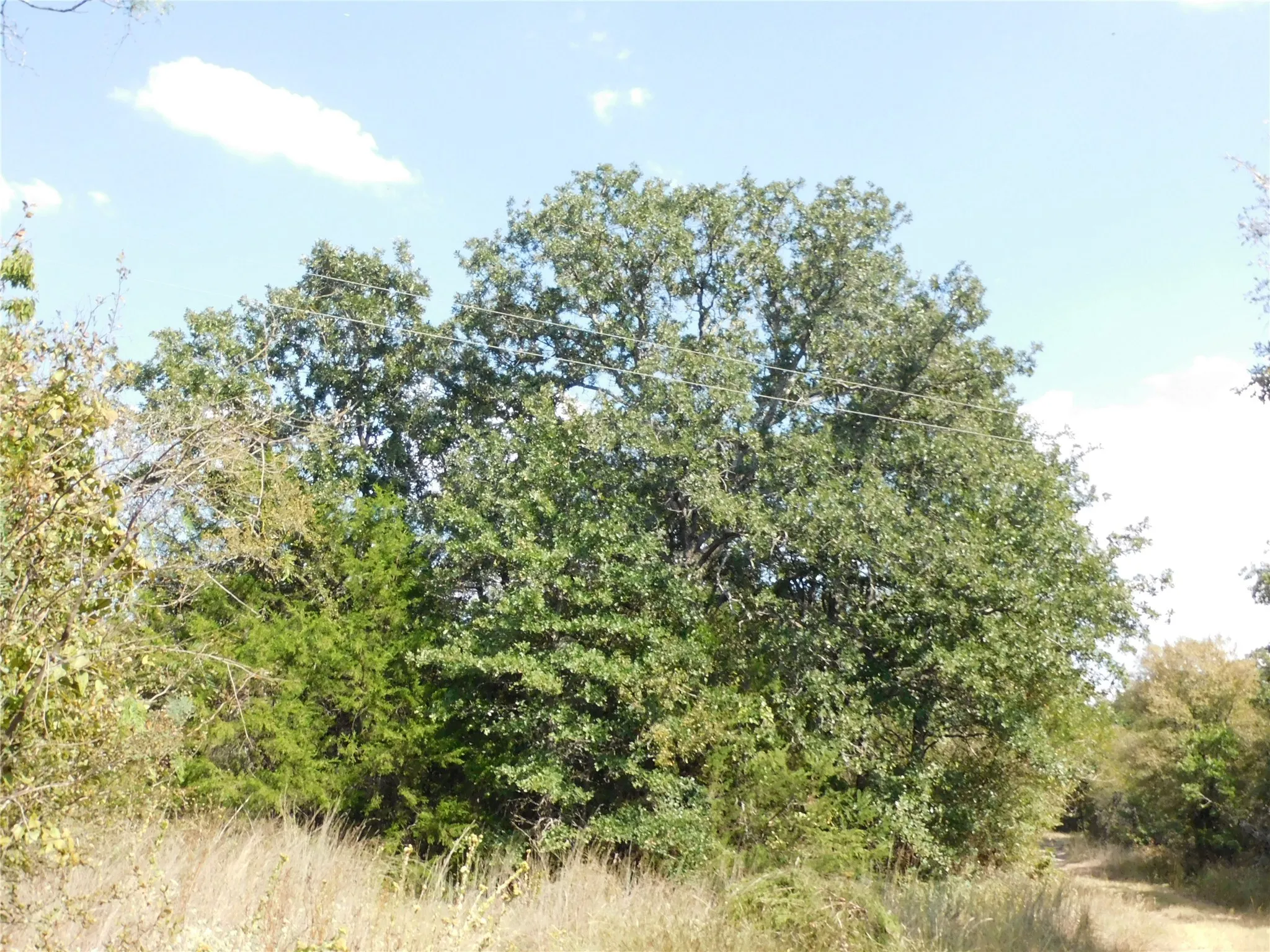 Unimproved Land For Sale in Hill County , 451 HCR3335 Road, Hubbard, Texas 76648, 0, 0, Garage spaces, 0 Sqft, built in 0, mls#21076870, Real Estate Agent in Hubbard, Homes For Sale in Hill county, Homes For Sale in Hubbard, Realtor in Hubbard Texas, Real Estate Brokerage Independent Realty Texas, Luminita Cordes Realtor