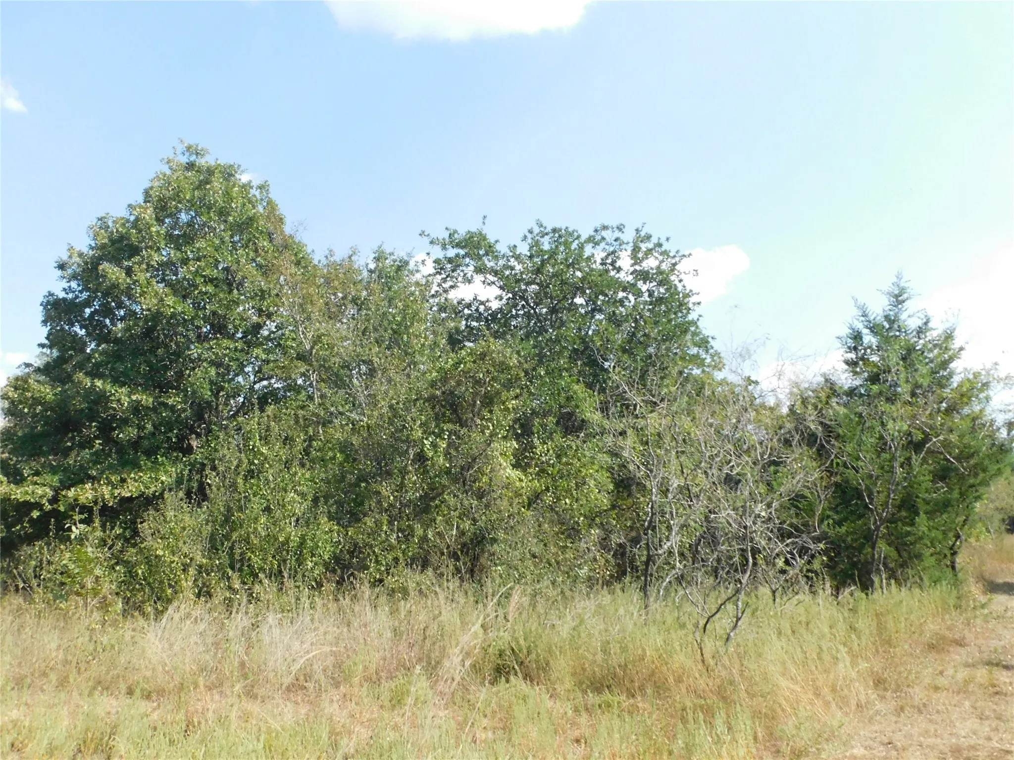 Unimproved Land For Sale in Hill County , 451 HCR3335 Road, Hubbard, Texas 76648, 0, 0, Garage spaces, 0 Sqft, built in 0, mls#21076870, Real Estate Agent in Hubbard, Homes For Sale in Hill county, Homes For Sale in Hubbard, Realtor in Hubbard Texas, Real Estate Brokerage Independent Realty Texas, Luminita Cordes Realtor
