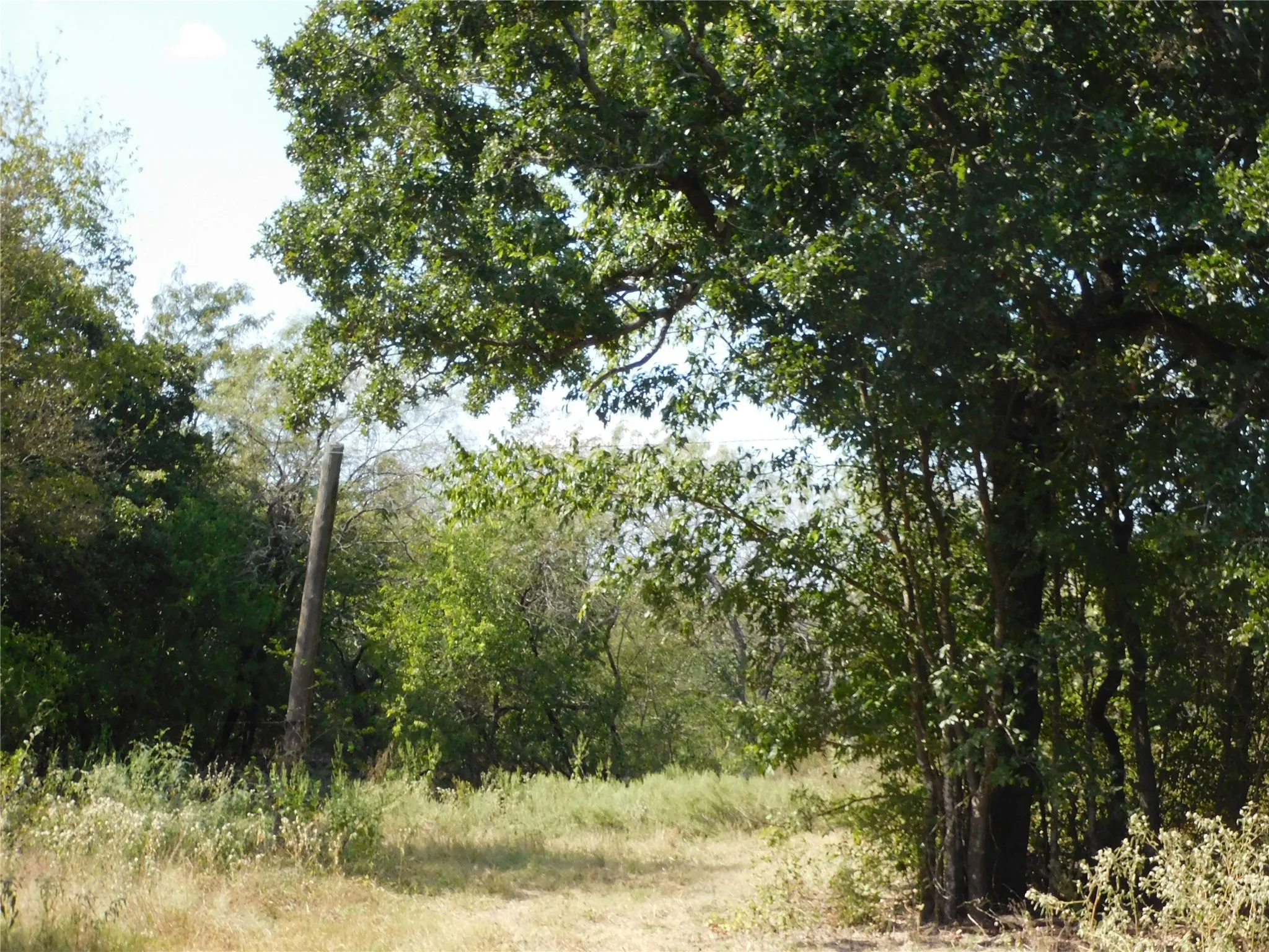 Unimproved Land For Sale in Hill County , 451 HCR3335 Road, Hubbard, Texas 76648, 0, 0, Garage spaces, 0 Sqft, built in 0, mls#21076870, Real Estate Agent in Hubbard, Homes For Sale in Hill county, Homes For Sale in Hubbard, Realtor in Hubbard Texas, Real Estate Brokerage Independent Realty Texas, Luminita Cordes Realtor