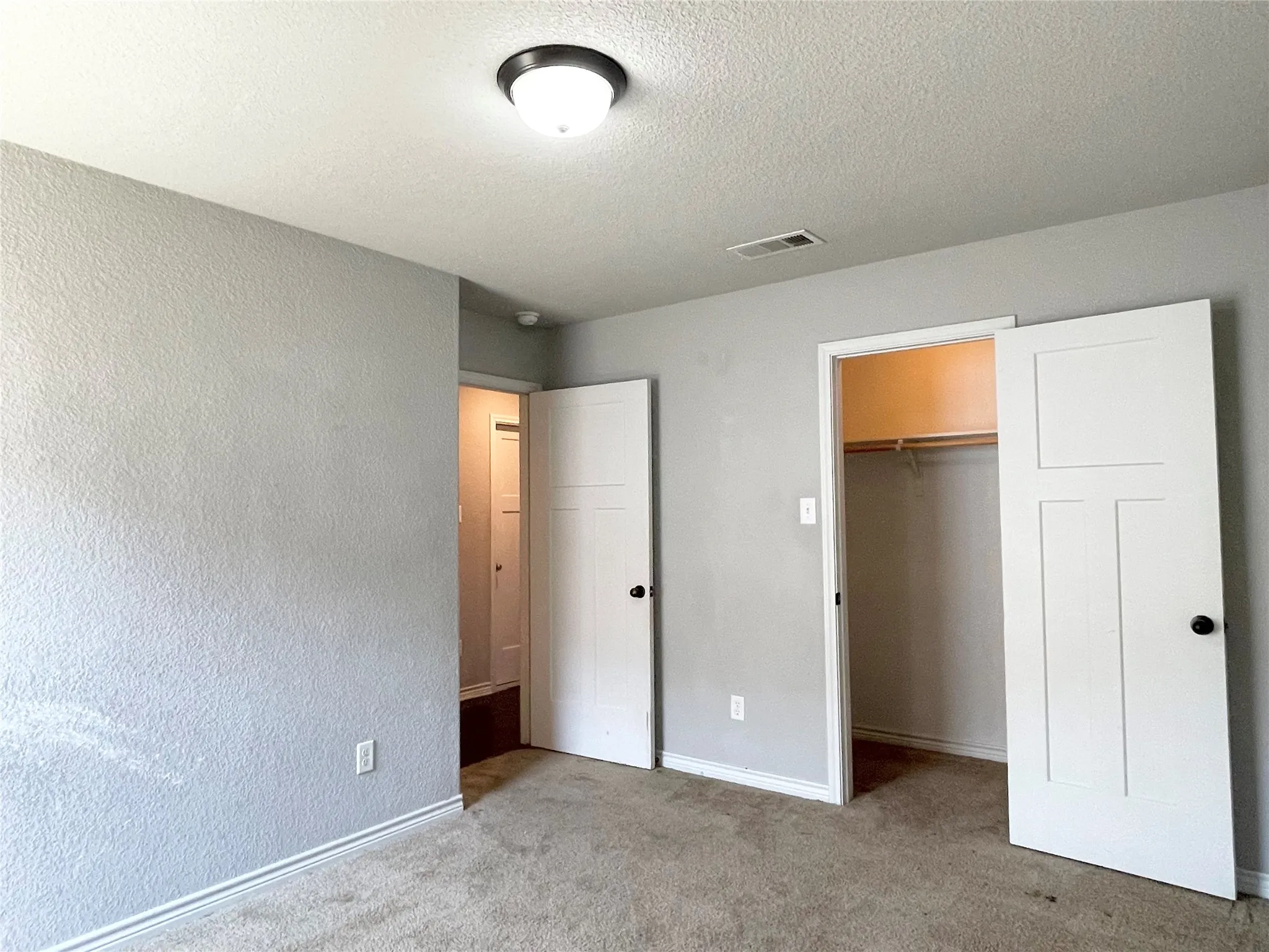 Third bedroom featuring a spacious closet