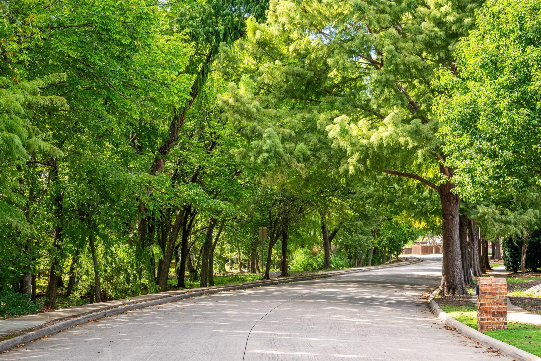 Iconic Neighborhood Tree Tunnel framing the drive into the neighborhood leading you and your guests into your "HOME SWEET HOME"!