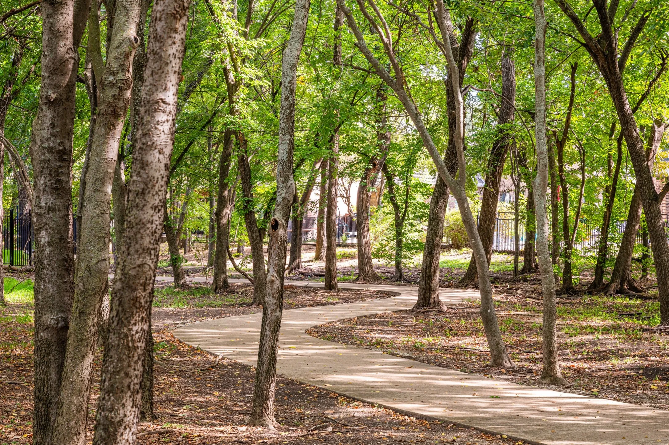 Your HOME SWEET HOME boast the Front Row Seat to the Neighborhood's gorgeous wooded Hike and Bike Trails