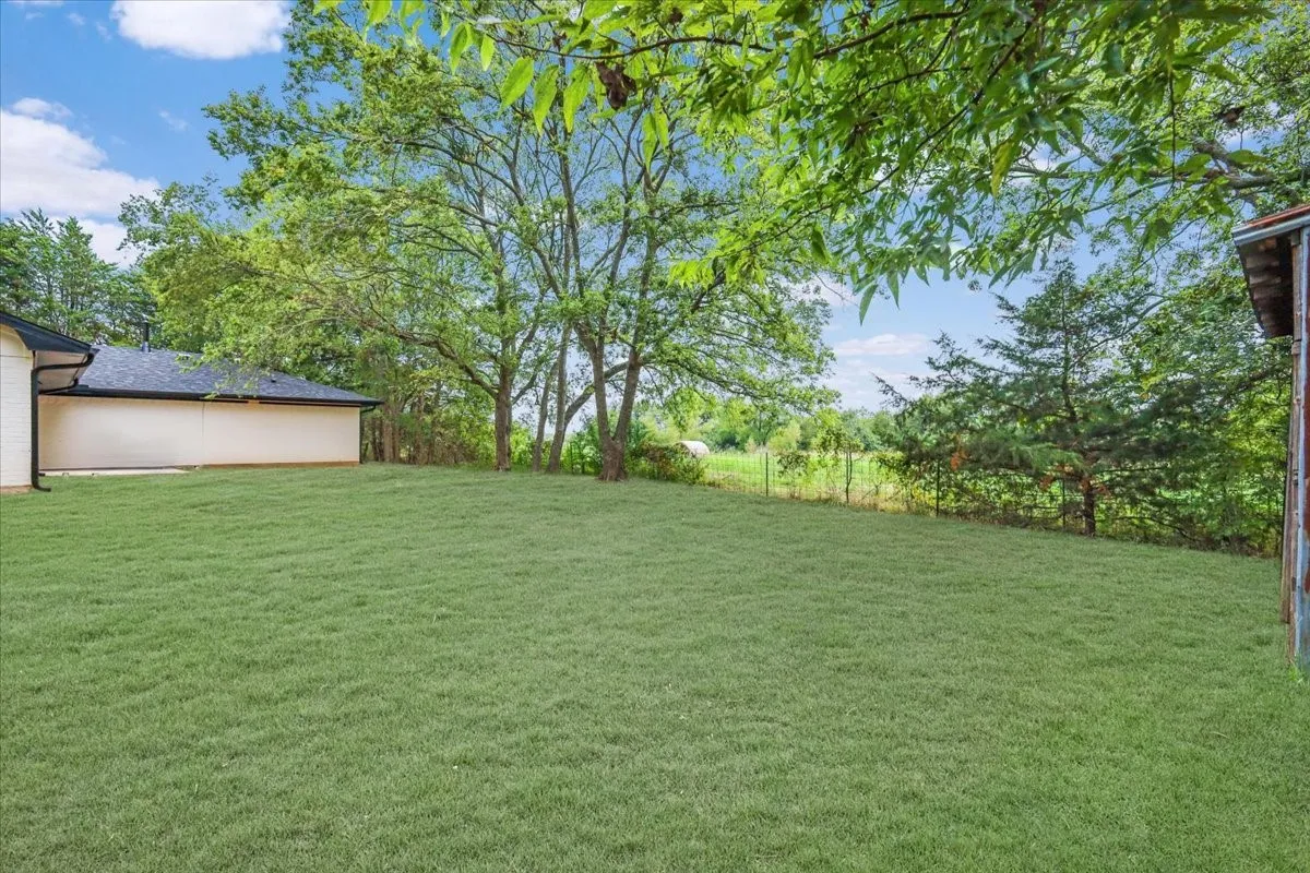 View of grassy yard