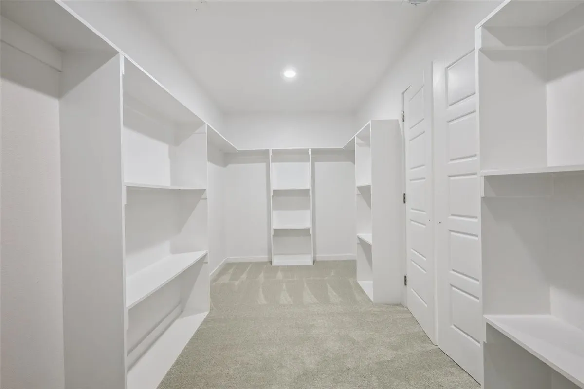 Walk in closet with light carpet