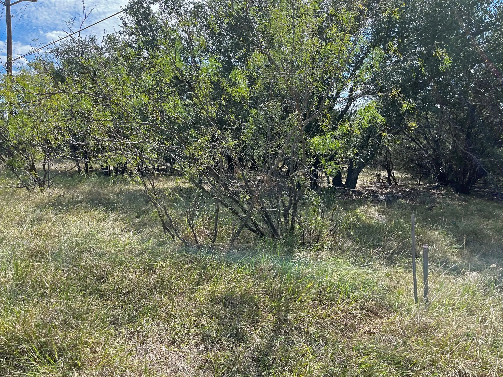 Unimproved Land For Sale in Palo Pinto County , Lot 4 Cliffs Drive, Graford, Texas 76449, 0, 0, Garage spaces, 0 Sqft, built in 0, mls#21077374, Real Estate Agent in Graford, Homes For Sale in Palo Pinto county, Homes For Sale in Graford, Realtor in Graford Texas, Real Estate Brokerage Independent Realty Texas, Luminita Cordes Realtor