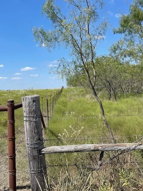 View of fence on other side of property
