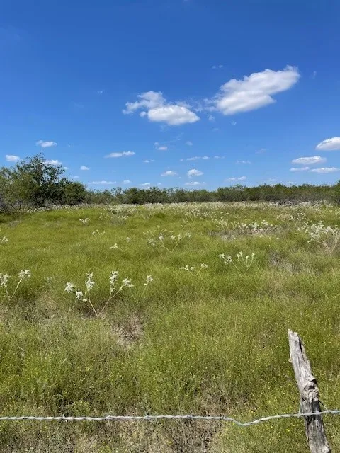 Unimproved Land For Sale in Hill County , TBD County Road 3241, Hubbard, Texas 76648, 0, 0, Garage spaces, 0 Sqft, built in 0, mls#21077483, Real Estate Agent in Hubbard, Homes For Sale in Hill county, Homes For Sale in Hubbard, Realtor in Hubbard Texas, Real Estate Brokerage Independent Realty Texas, Luminita Cordes Realtor