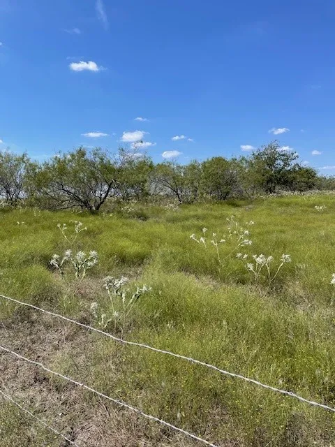 Rural view of property, barbed wire fencing along road frontage
