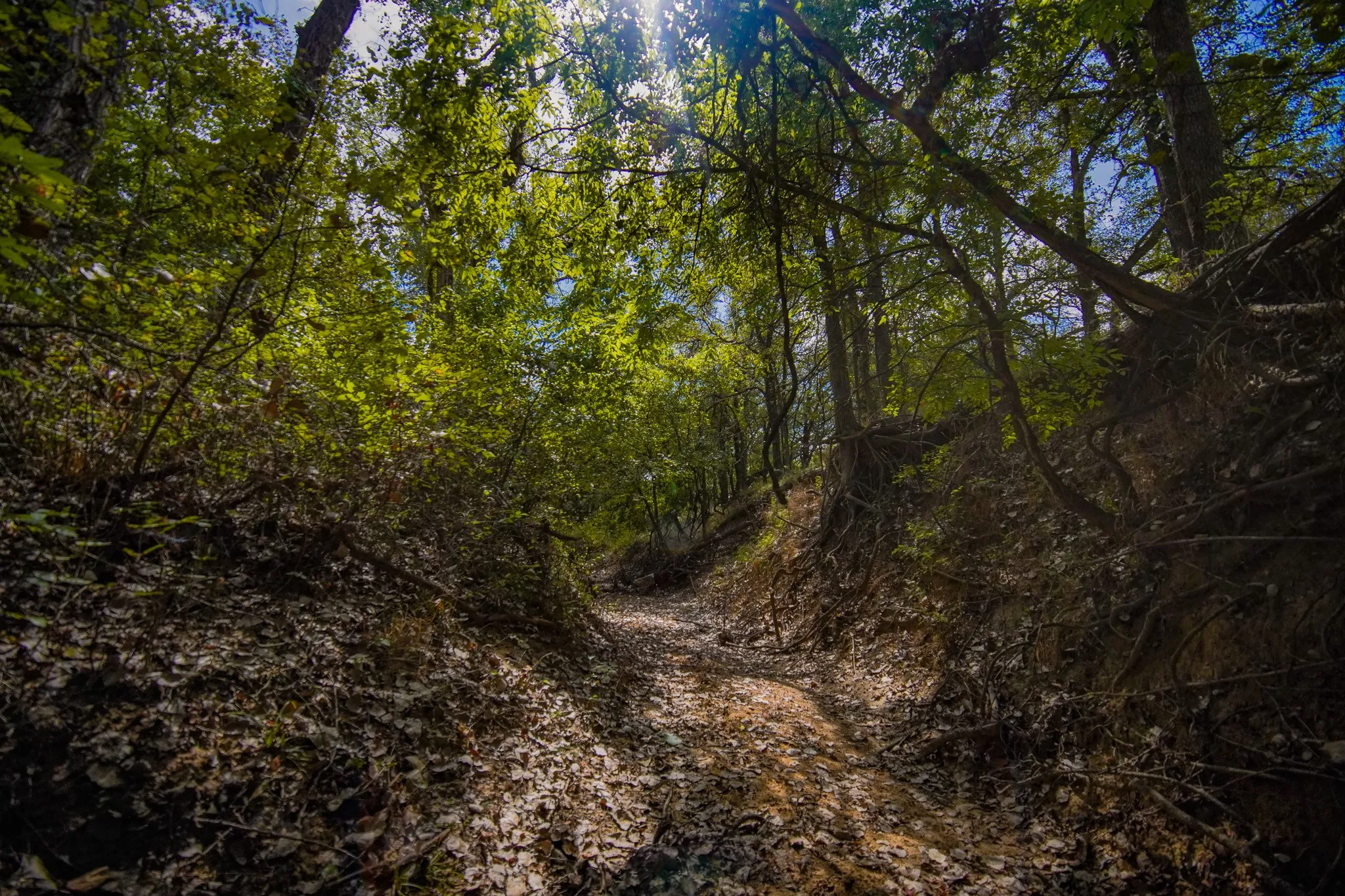 Unimproved Land For Sale in Jack County , 99.97 Acres S 281 Highway, Perrin, Texas 76486, 0, 0, Garage spaces, 0 Sqft, built in 0, mls#21075453, Real Estate Agent in Perrin, Homes For Sale in Jack county, Homes For Sale in Perrin, Realtor in Perrin Texas, Real Estate Brokerage Independent Realty Texas, Luminita Cordes Realtor