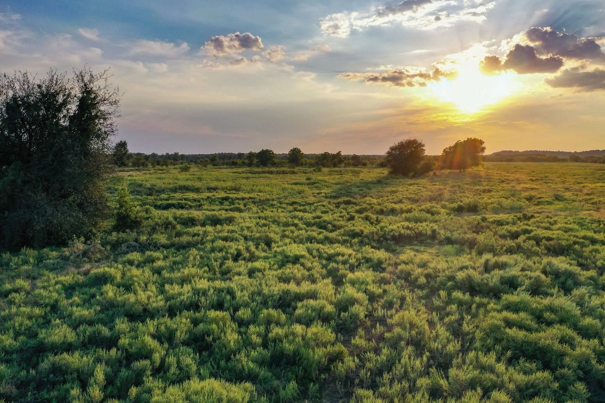 Unimproved Land For Sale in Jack County , 99.97 Acres S 281 Highway, Perrin, Texas 76486, 0, 0, Garage spaces, 0 Sqft, built in 0, mls#21075453, Real Estate Agent in Perrin, Homes For Sale in Jack county, Homes For Sale in Perrin, Realtor in Perrin Texas, Real Estate Brokerage Independent Realty Texas, Luminita Cordes Realtor