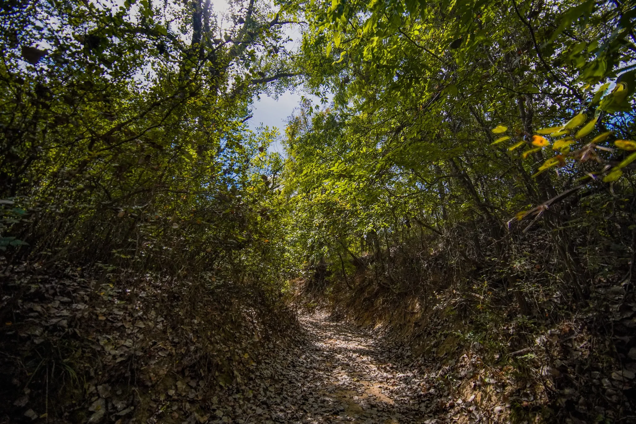 Unimproved Land For Sale in Jack County , 99.97 Acres S 281 Highway, Perrin, Texas 76486, 0, 0, Garage spaces, 0 Sqft, built in 0, mls#21075453, Real Estate Agent in Perrin, Homes For Sale in Jack county, Homes For Sale in Perrin, Realtor in Perrin Texas, Real Estate Brokerage Independent Realty Texas, Luminita Cordes Realtor