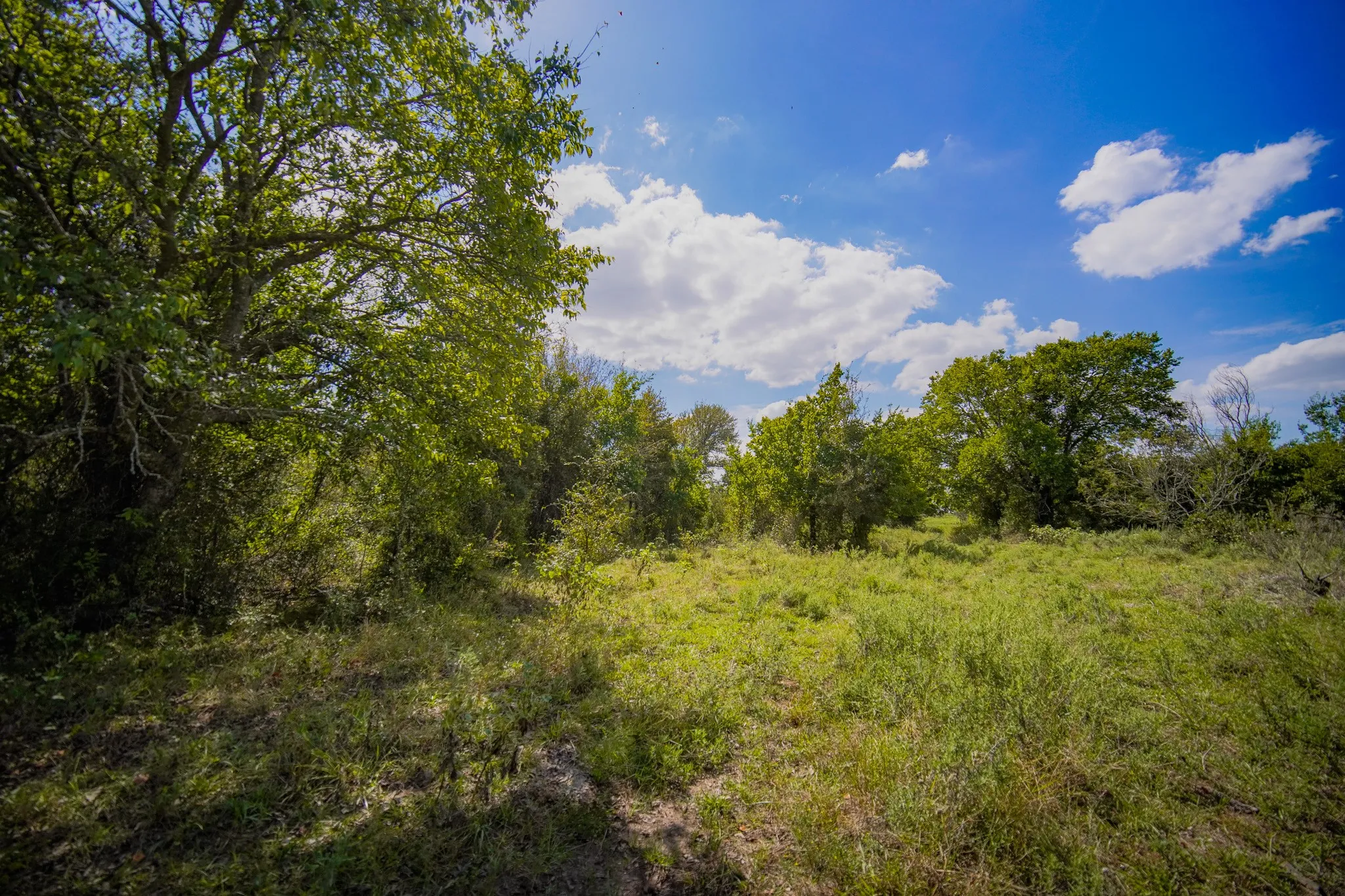 Unimproved Land For Sale in Jack County , 99.97 Acres S 281 Highway, Perrin, Texas 76486, 0, 0, Garage spaces, 0 Sqft, built in 0, mls#21075453, Real Estate Agent in Perrin, Homes For Sale in Jack county, Homes For Sale in Perrin, Realtor in Perrin Texas, Real Estate Brokerage Independent Realty Texas, Luminita Cordes Realtor
