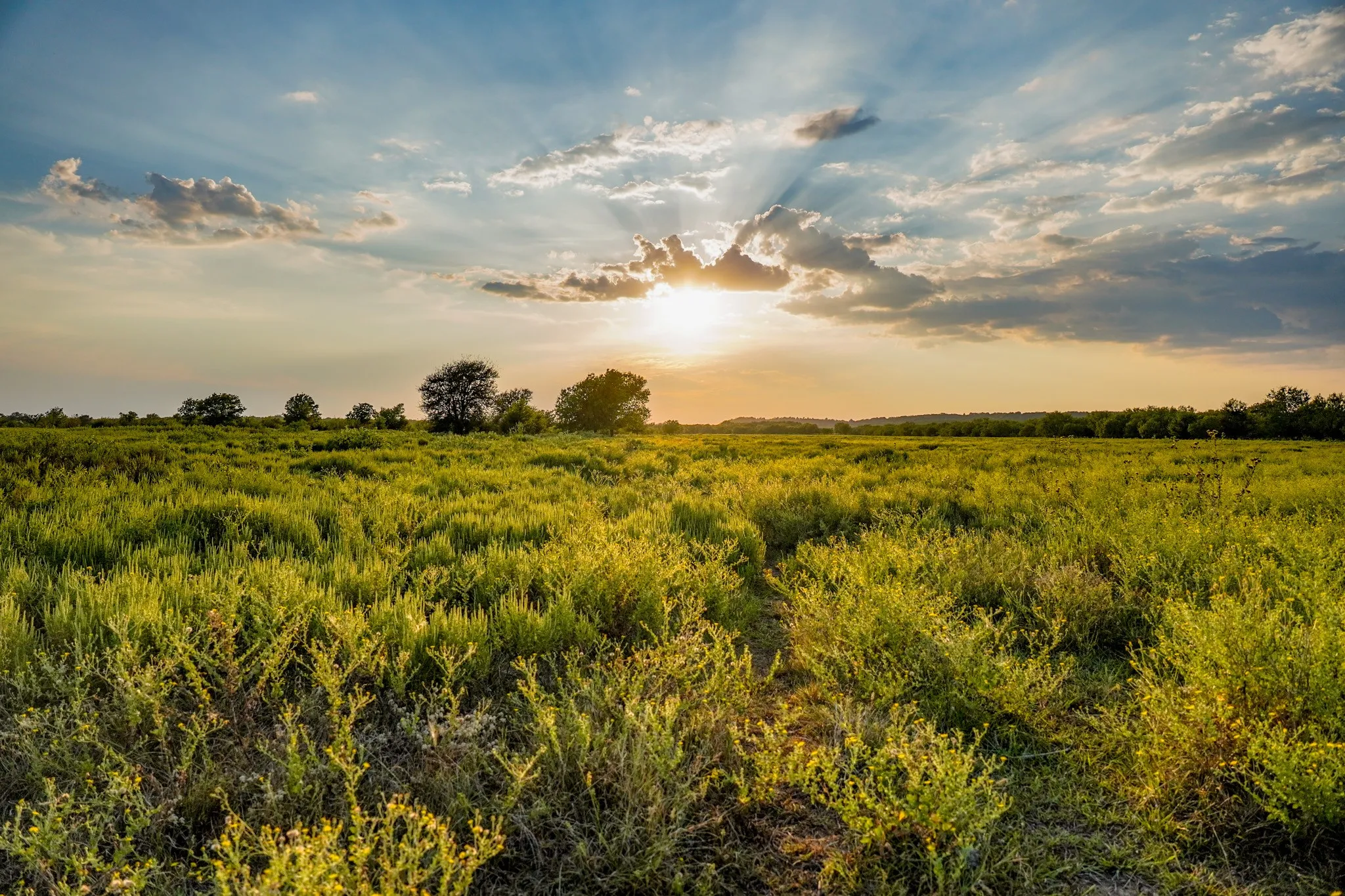Unimproved Land For Sale in Jack County , 99.97 Acres S 281 Highway, Perrin, Texas 76486, 0, 0, Garage spaces, 0 Sqft, built in 0, mls#21075453, Real Estate Agent in Perrin, Homes For Sale in Jack county, Homes For Sale in Perrin, Realtor in Perrin Texas, Real Estate Brokerage Independent Realty Texas, Luminita Cordes Realtor